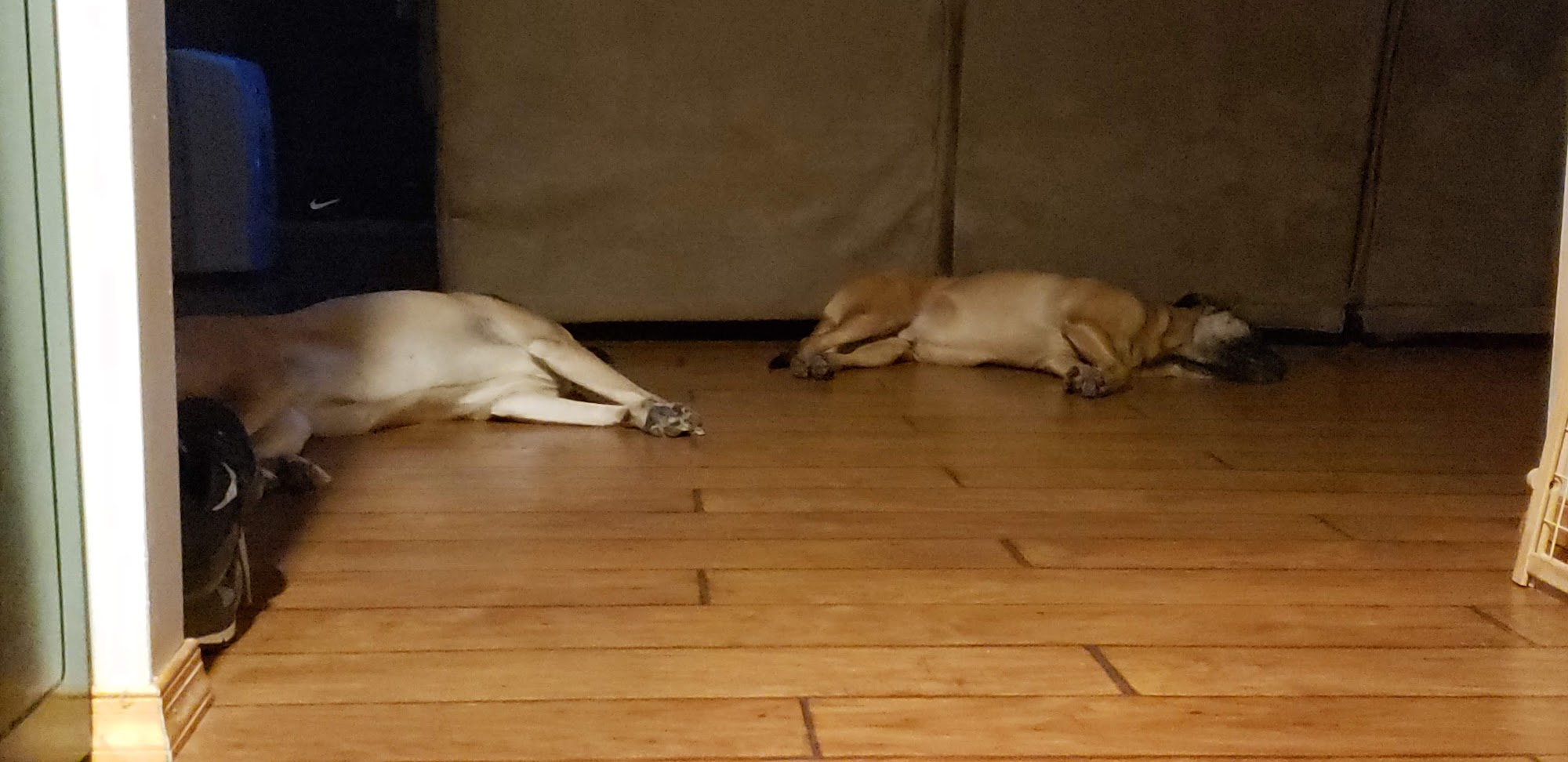 Riverside Veterinary Care Center Natchez