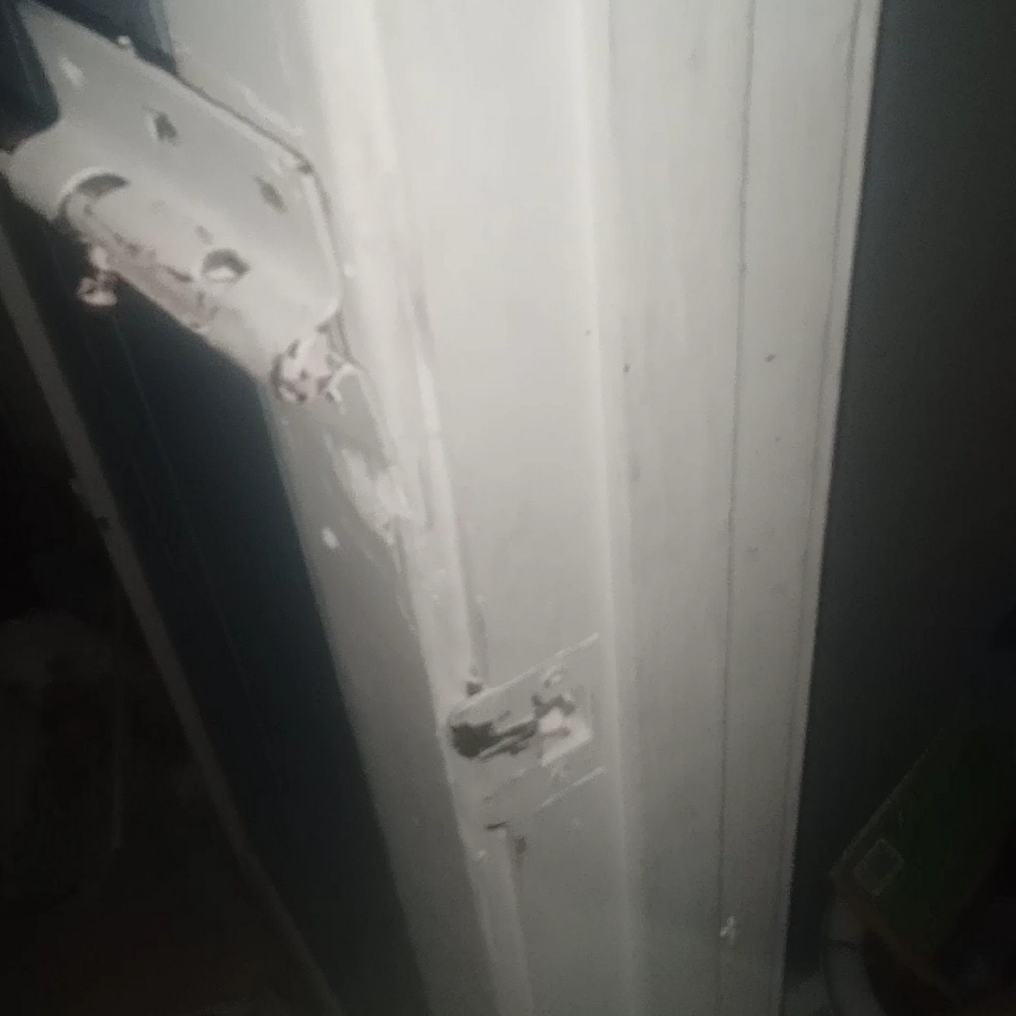 Bugs Express Pest Management Co 131 Monroe St, Nettleton Mississippi 38858