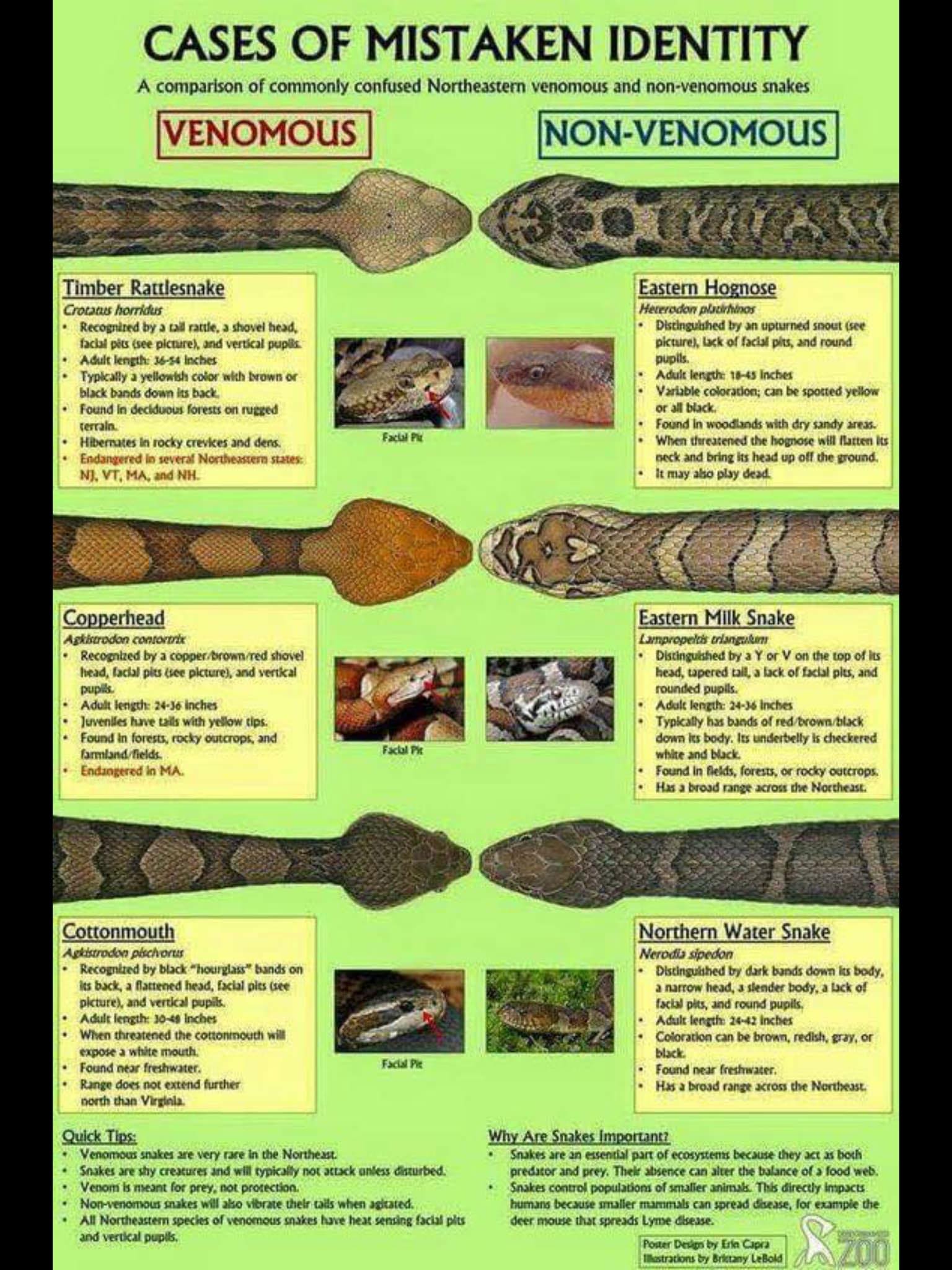 Bugs Express Pest Management Co