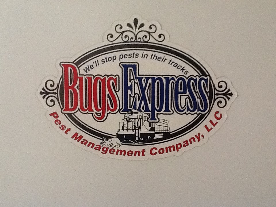 Bugs Express Pest Management Co