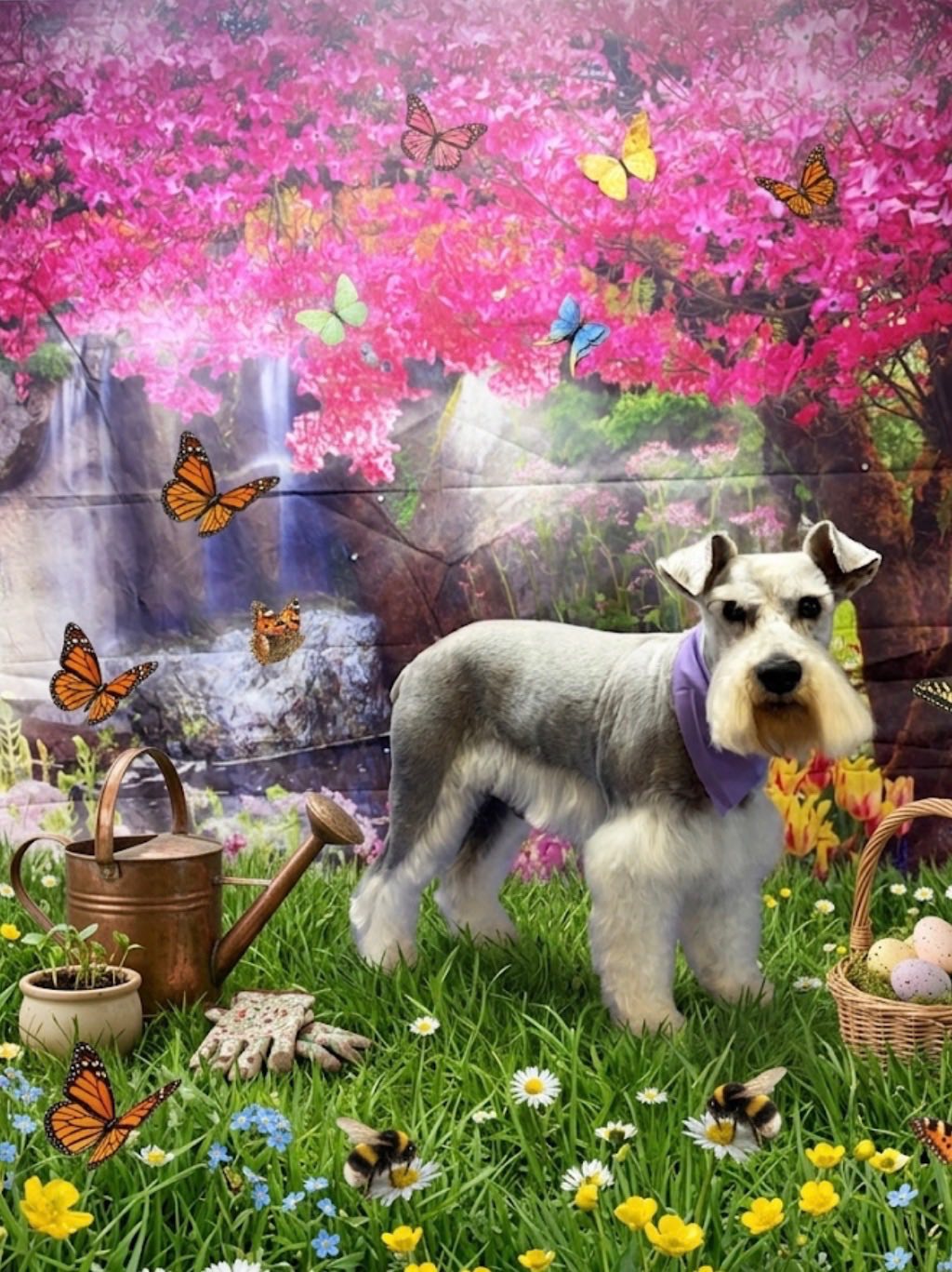 Flawless Pet Salon New Albany