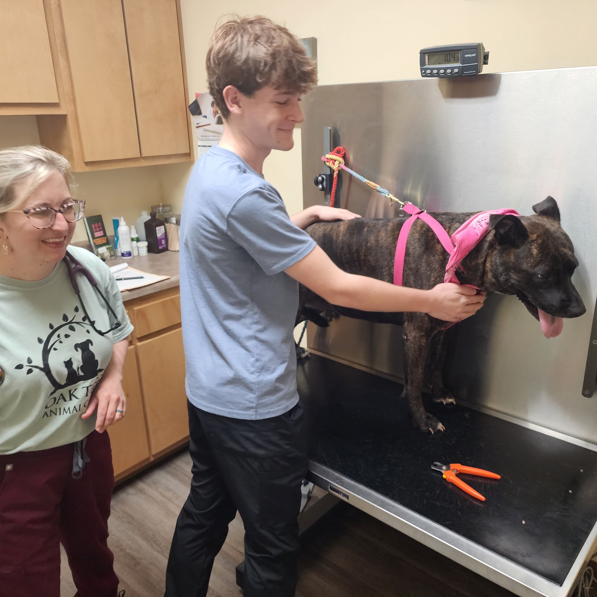 Oak Tree Animal Clinic Olive Branch