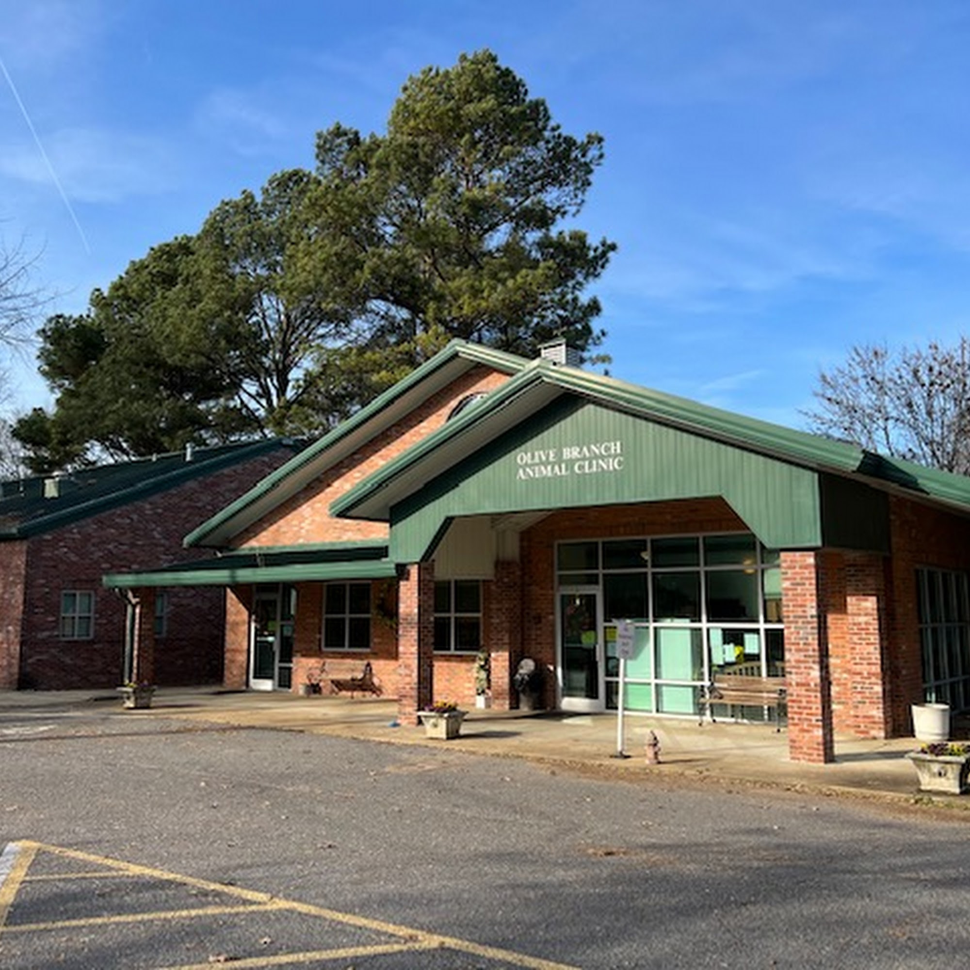Olive Branch Animal Clinic Olive Branch