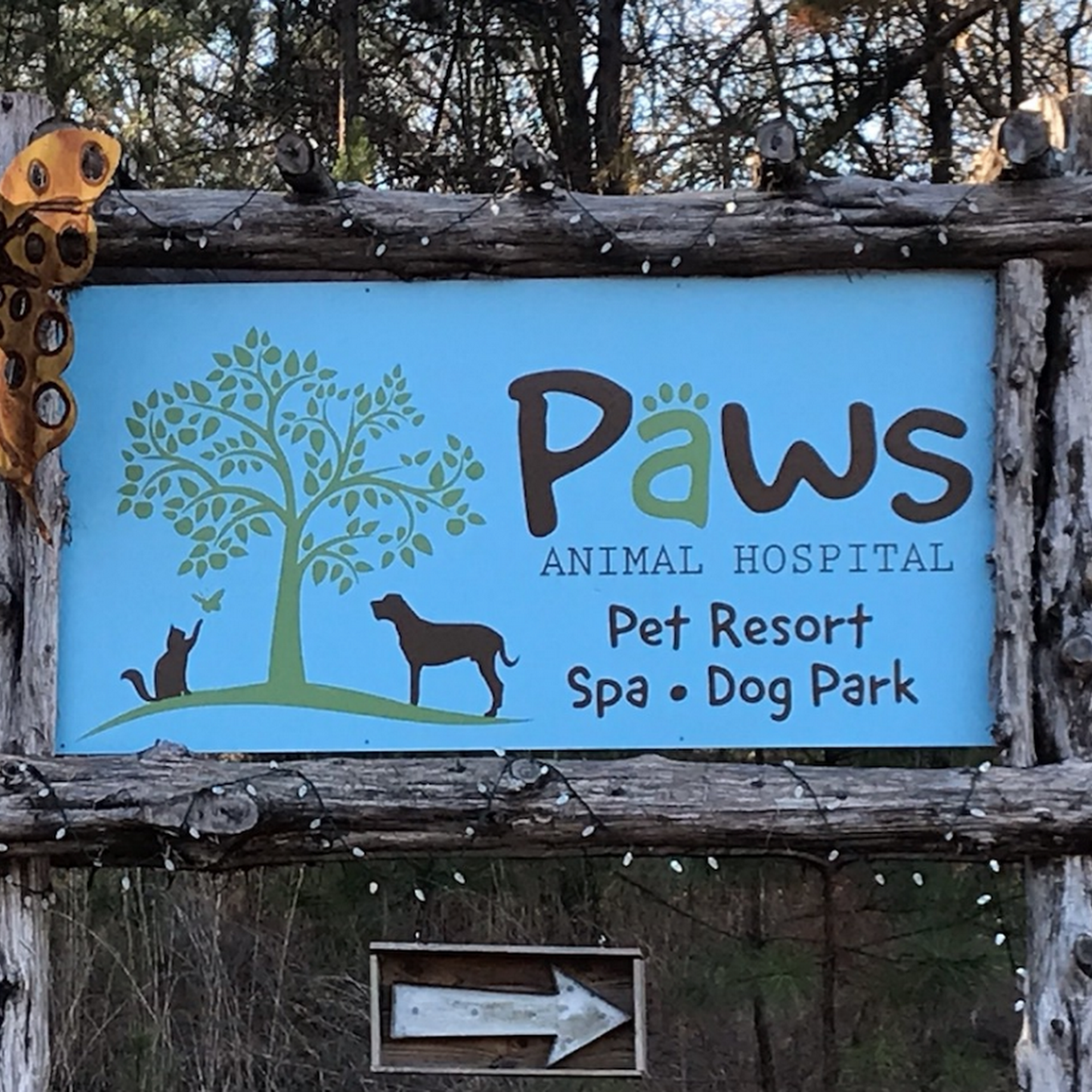 Pampered Paws Animal Hospital Oxford