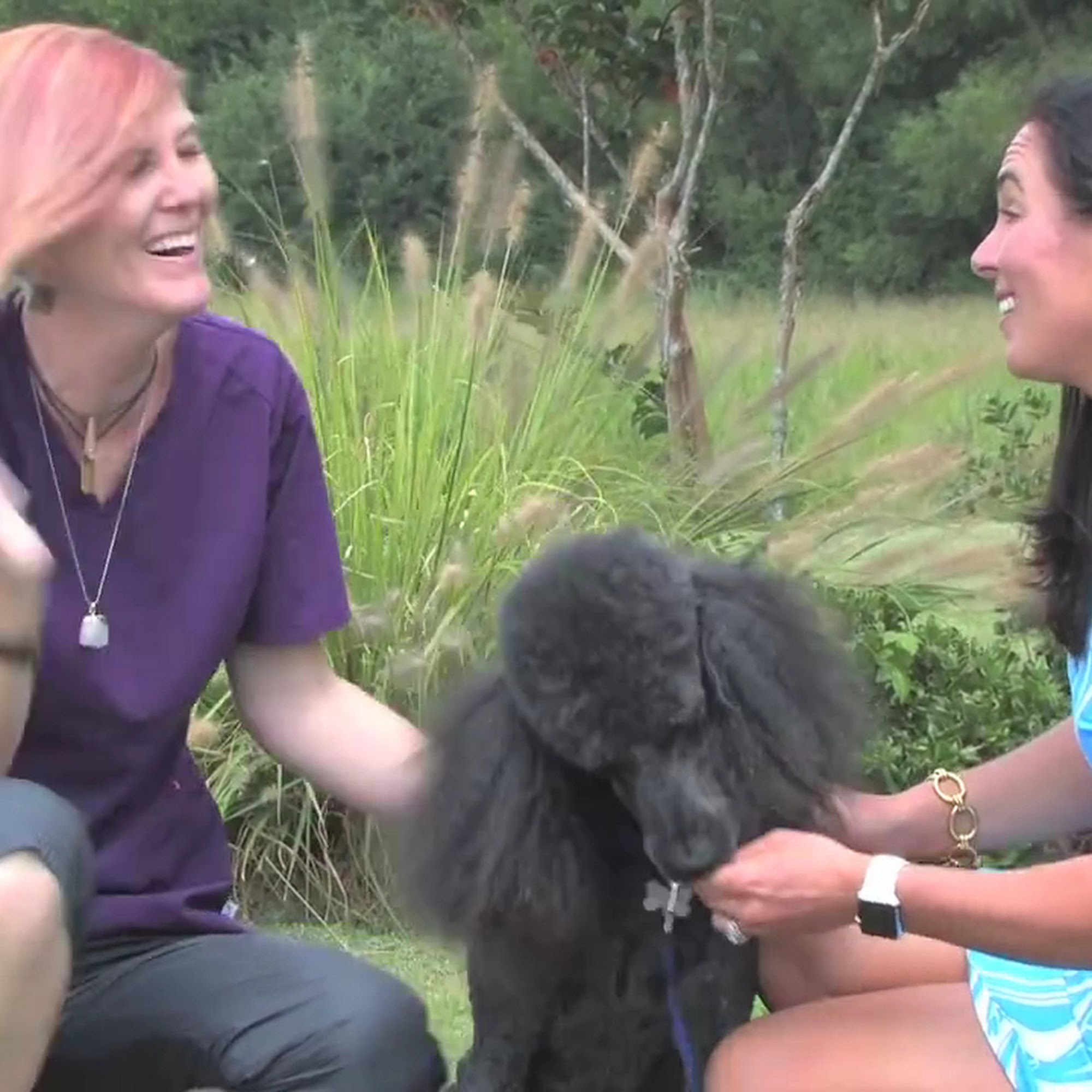 Bottletree Animal Hospital Oxford