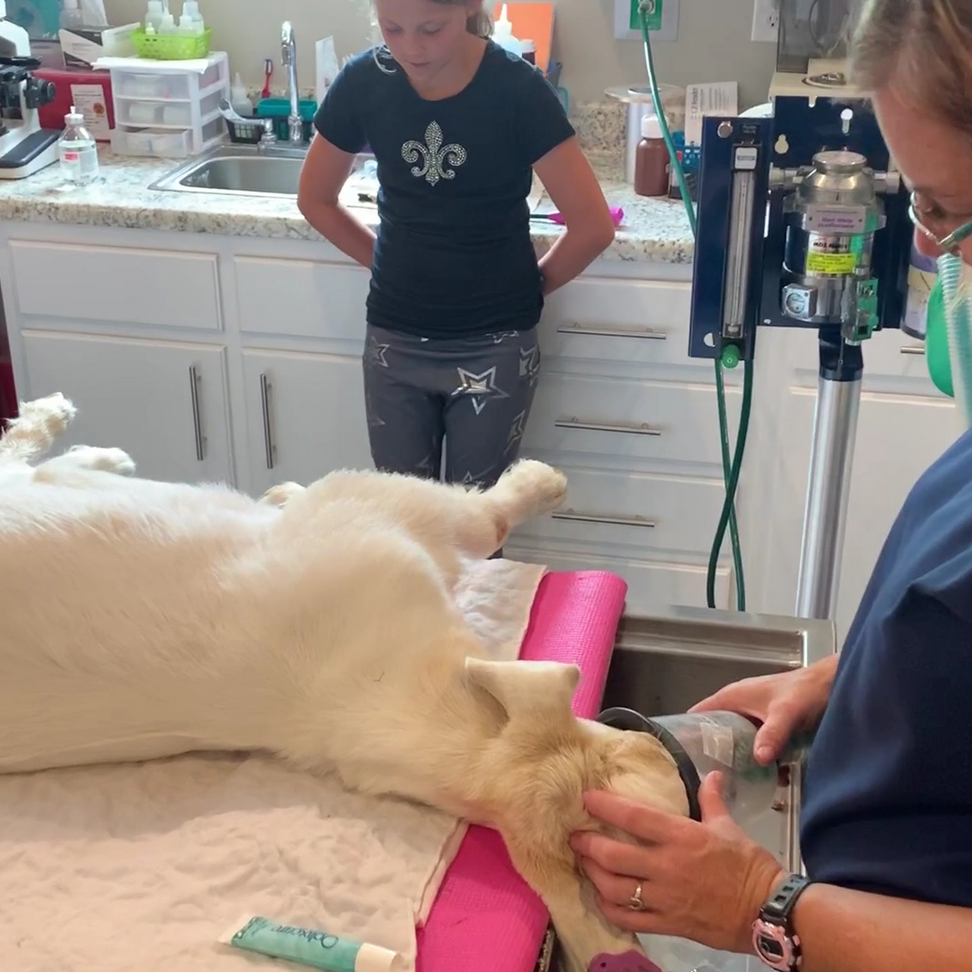 Oxford Veterinary Clinic Oxford