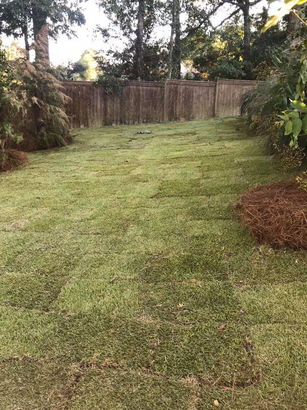 Nichols Lawn & Landscape