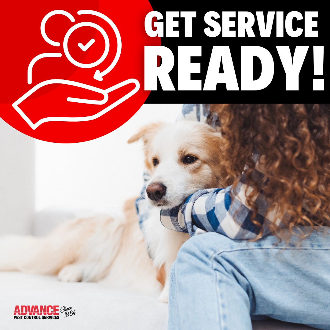 Advance Pest Control