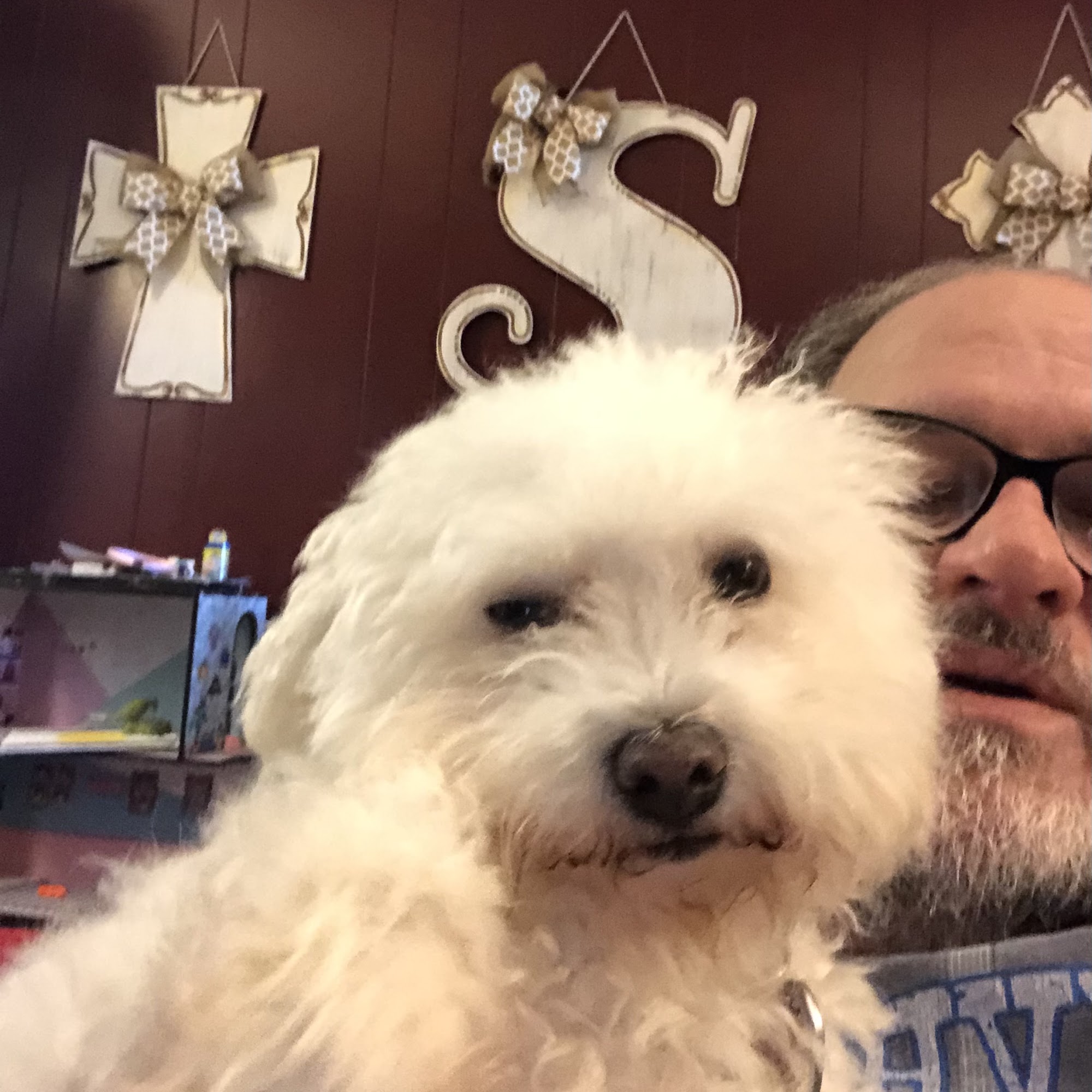 Northside Animal Hospital Pa: Mars William M DVM Philadelphia