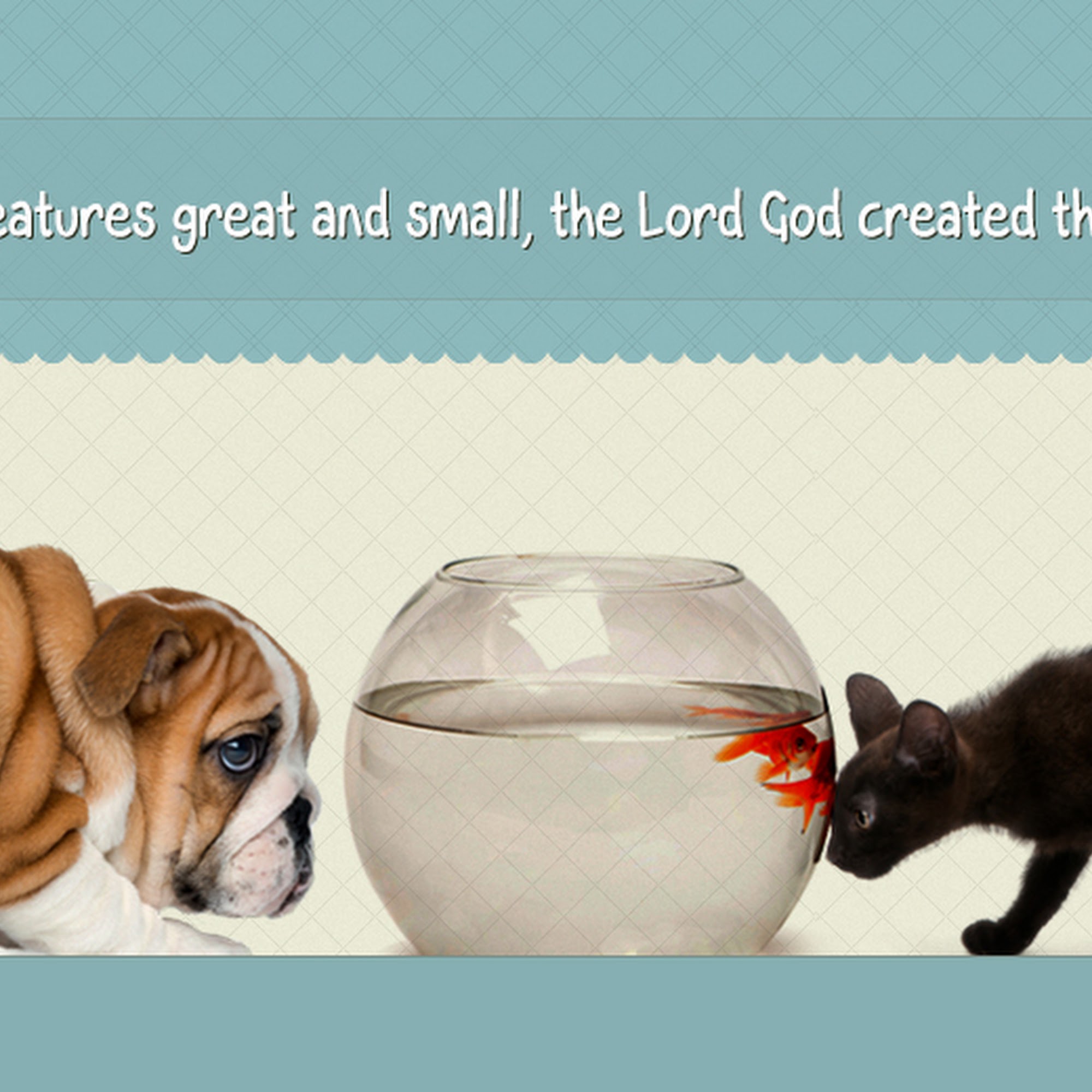 Neshoba County Animal Hospital Philadelphia