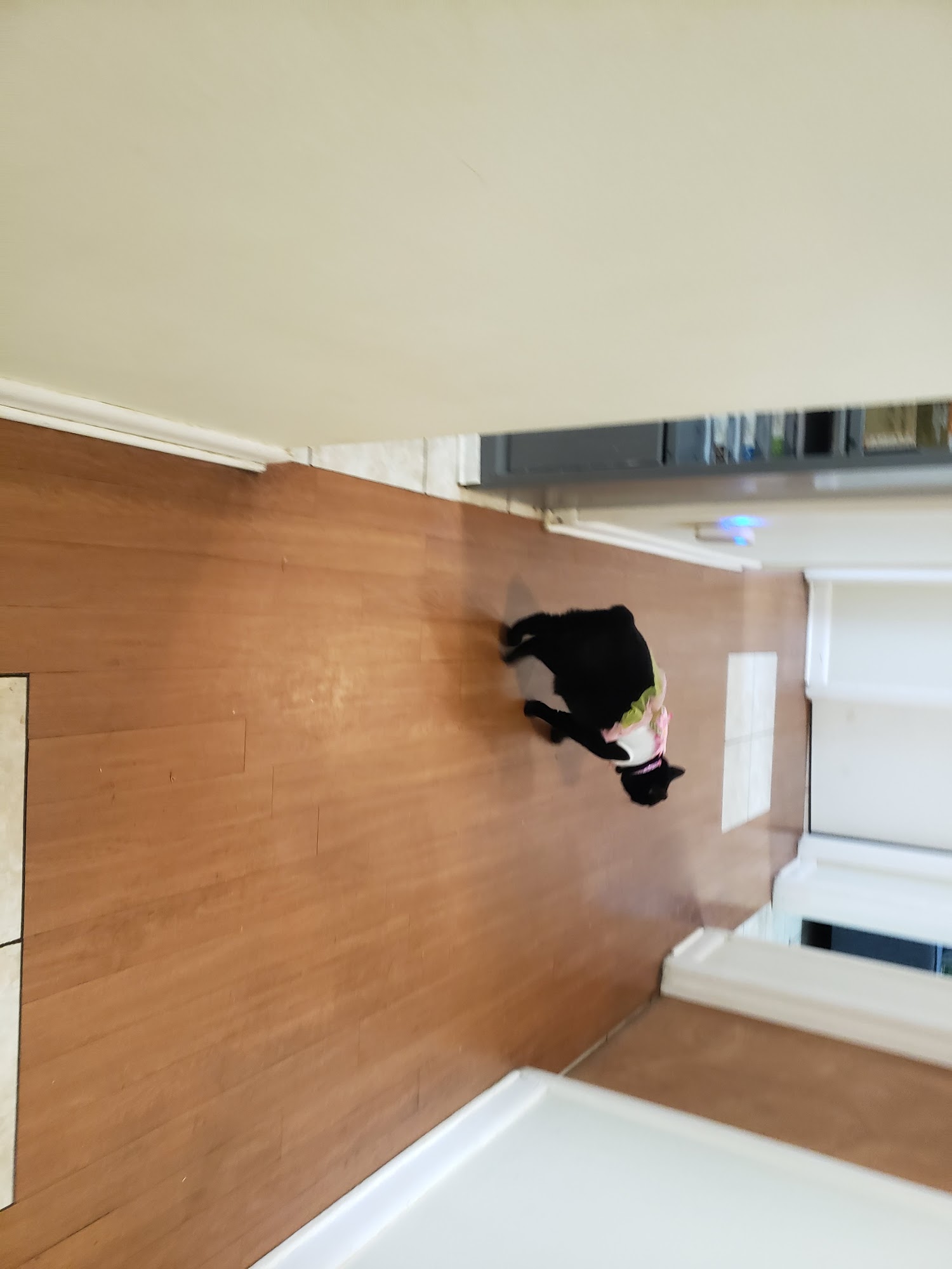 Watts Veterinary Services Picayune