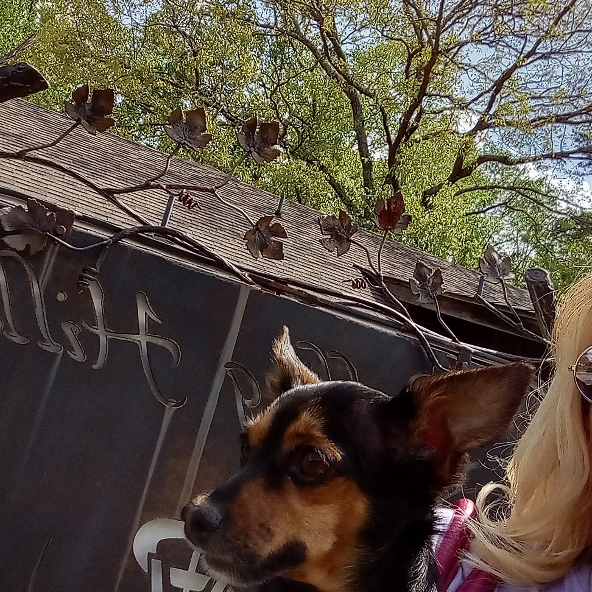 Rolling Hills Animal Clinic Pontotoc