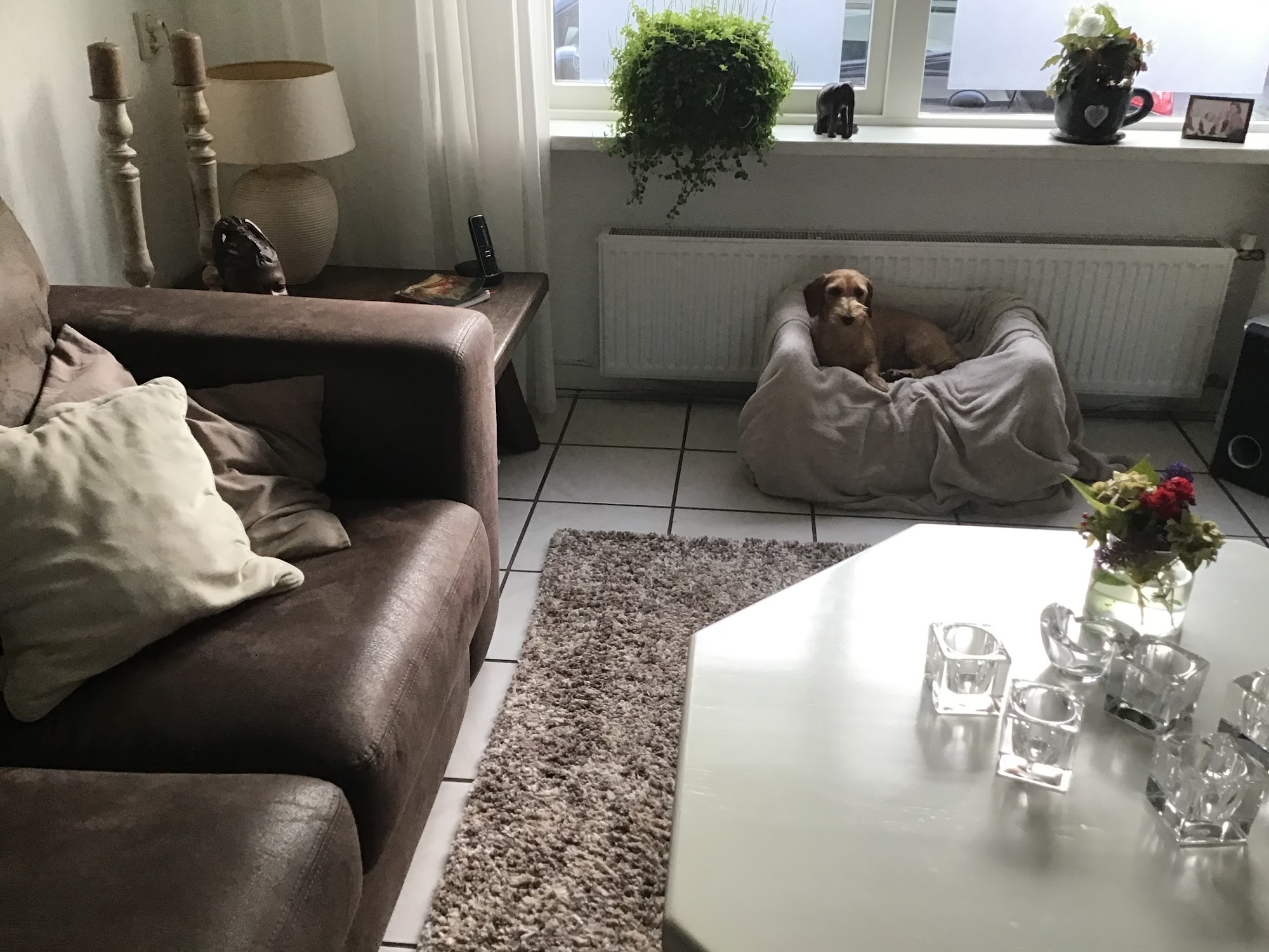 Shubuta Medical and Dental Clinic 130 High St, Shubuta Mississippi 39360