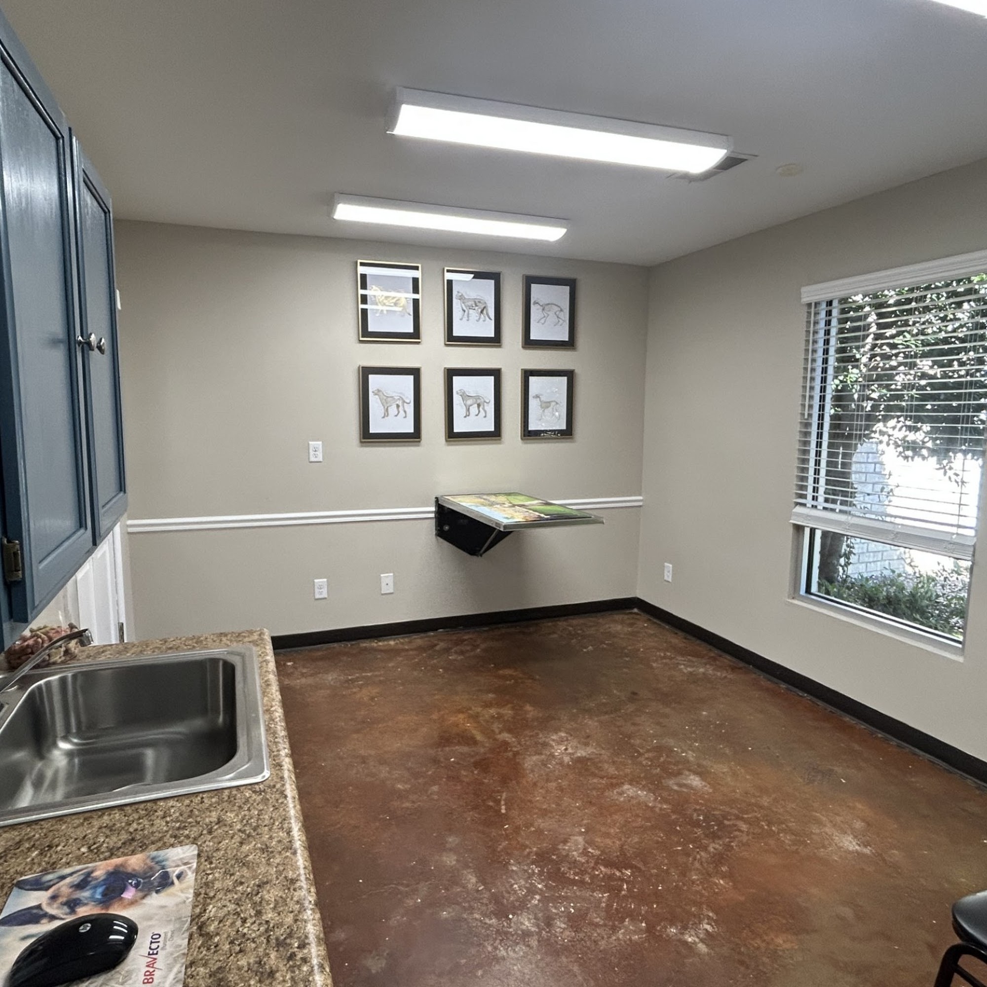 Elmore Road Veterinary Clinic Southaven