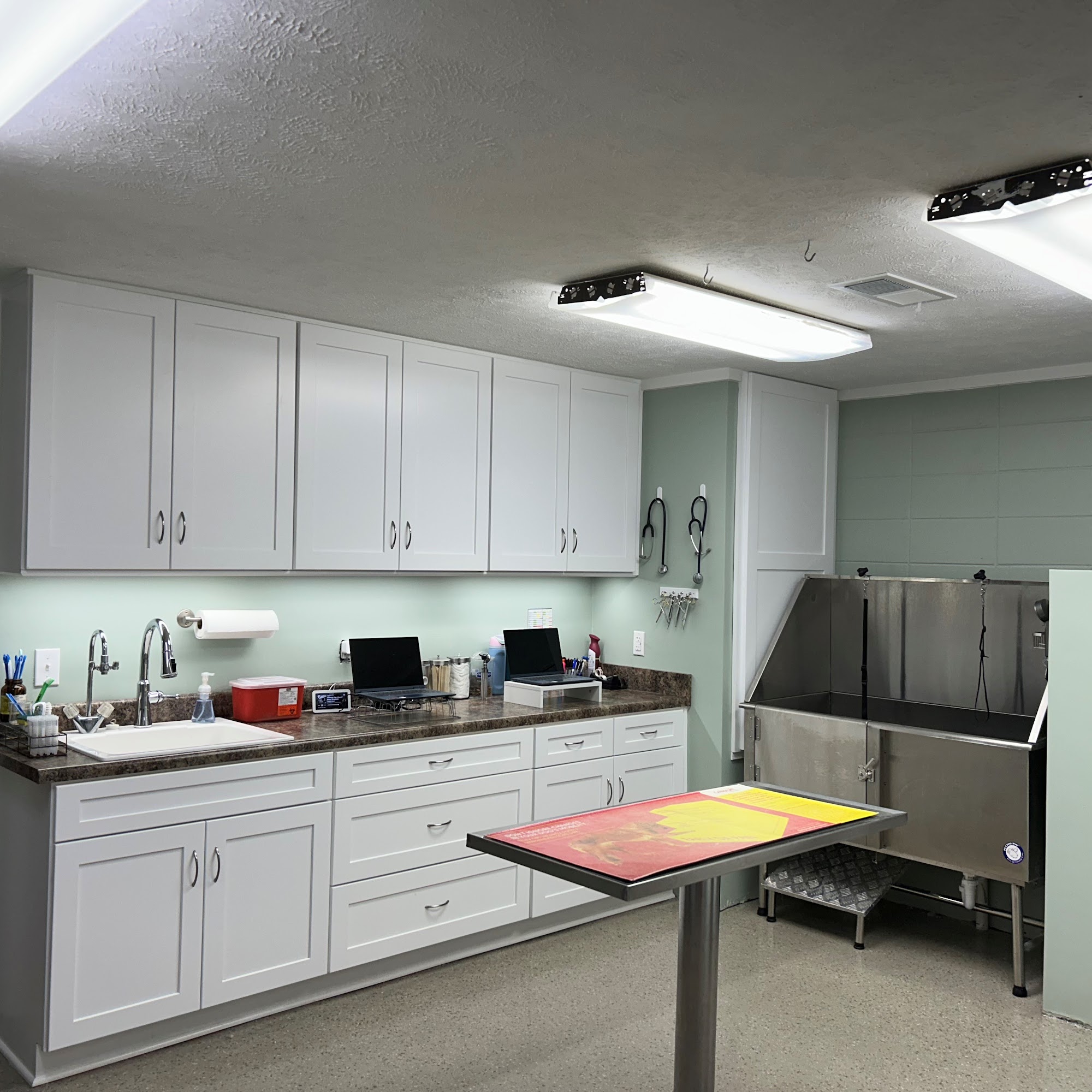 Starkville Veterinary Hospital Starkville