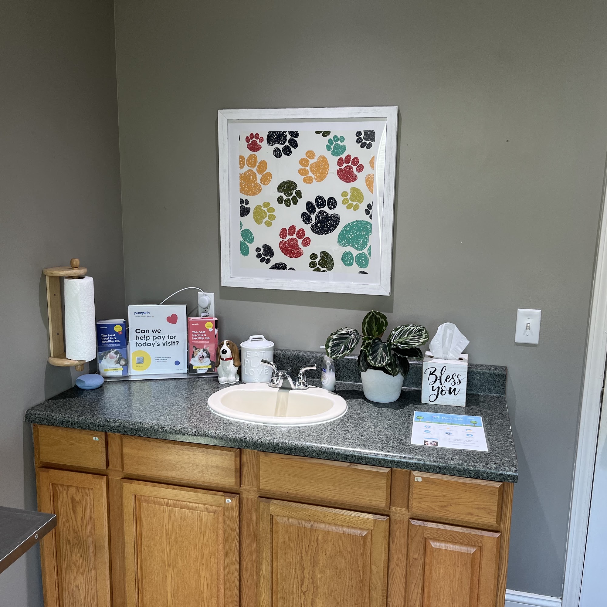 Village Animal Hospital Starkville