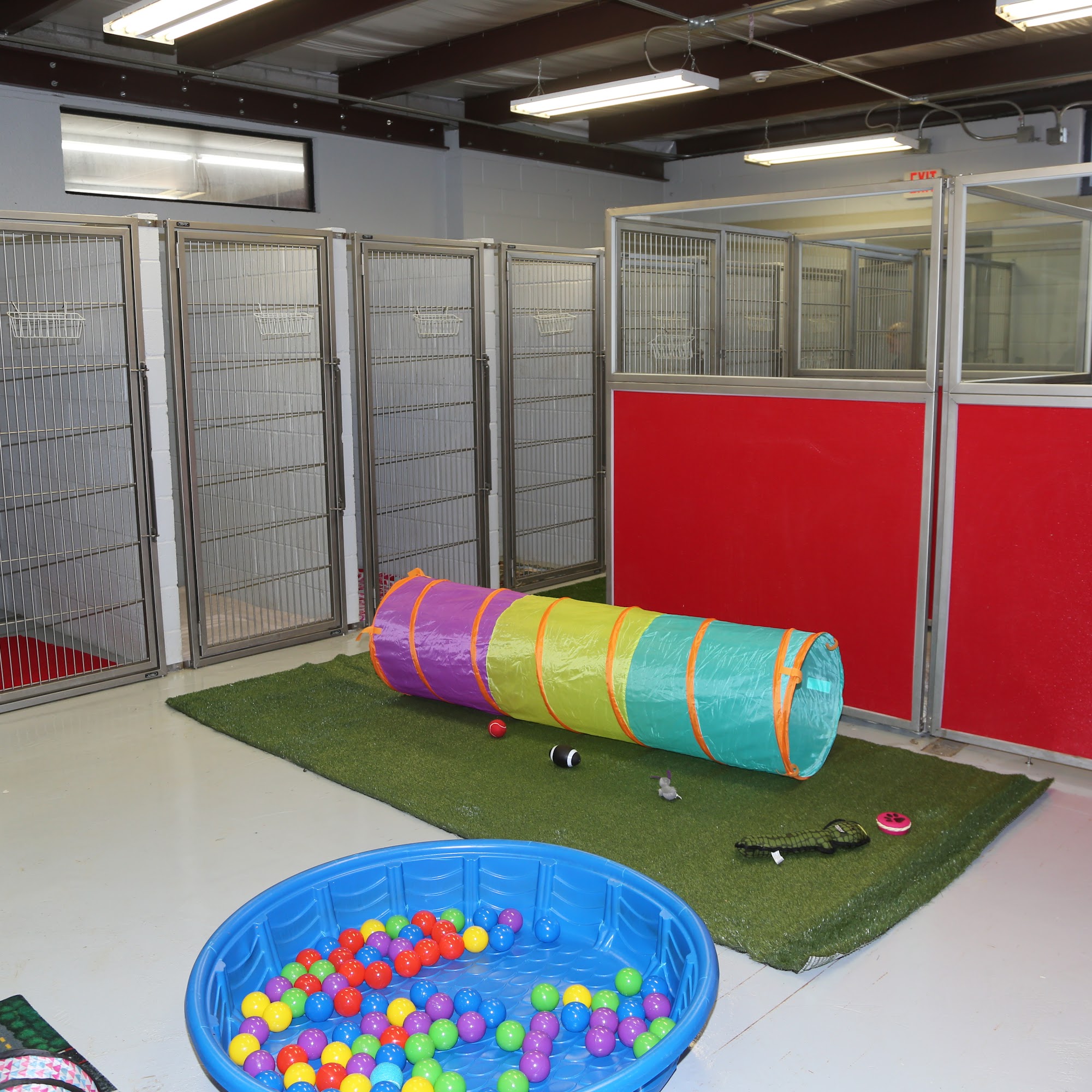 Animal Care Center of Tupelo Tupelo