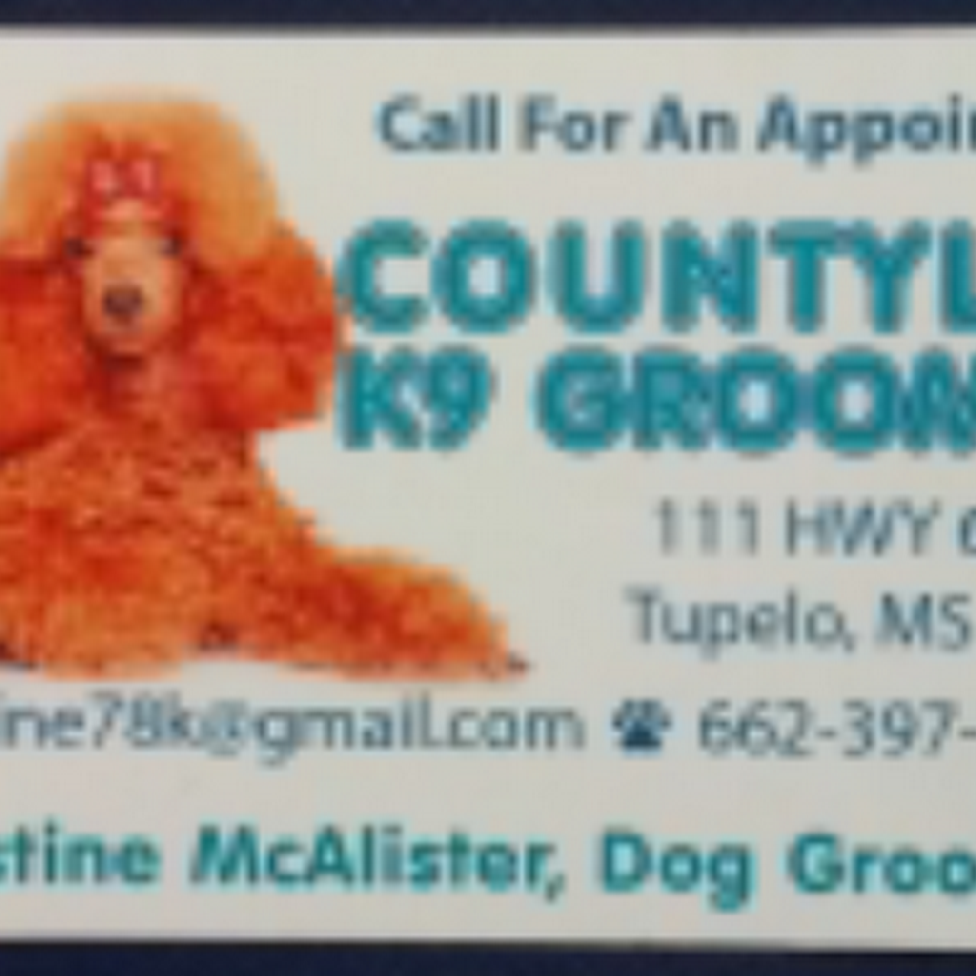 Countyline K9 Dog Grooming Tupelo