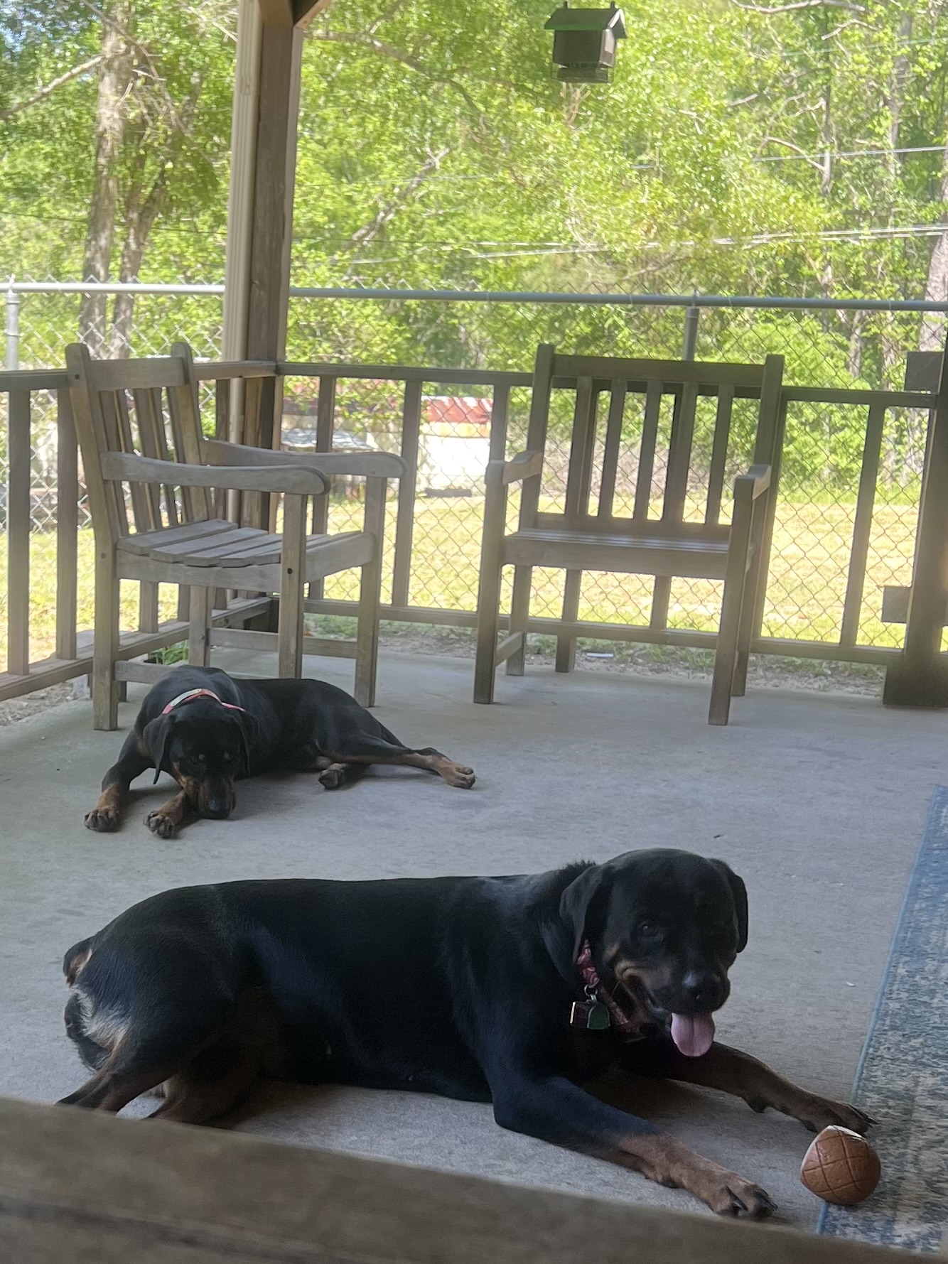 Tylertown Animal Hospital Tylertown