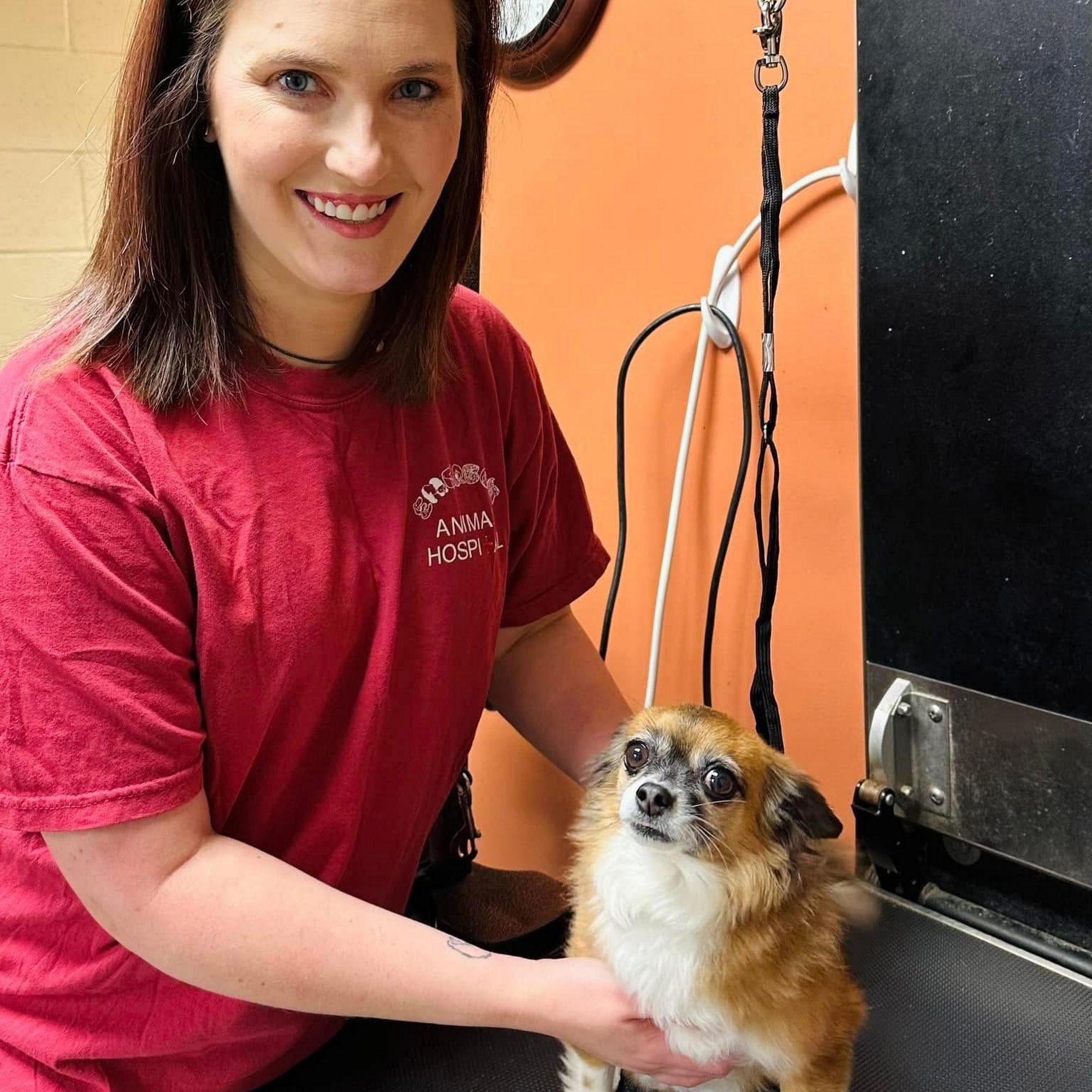 Emerson Animal Hospital West Point