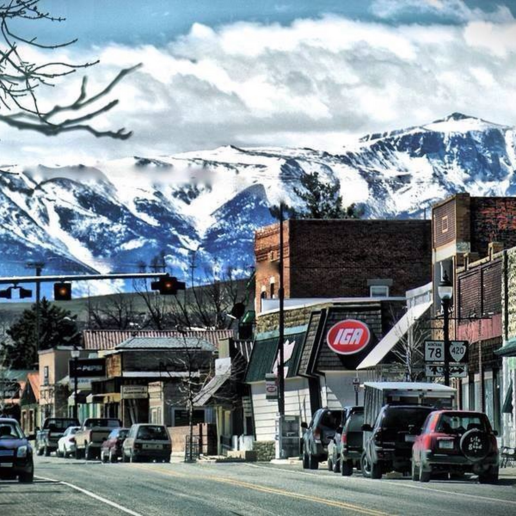 Absarokee Animal Hospital PC Absarokee