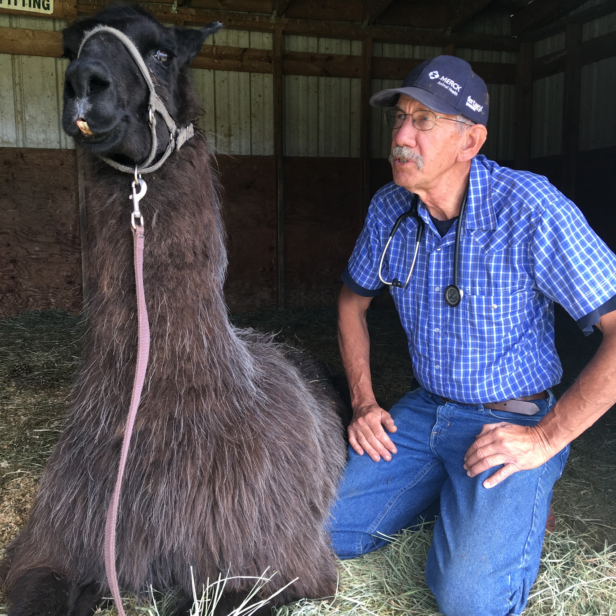 Sorensen-Intermountain Veterinary Hospital Belgrade