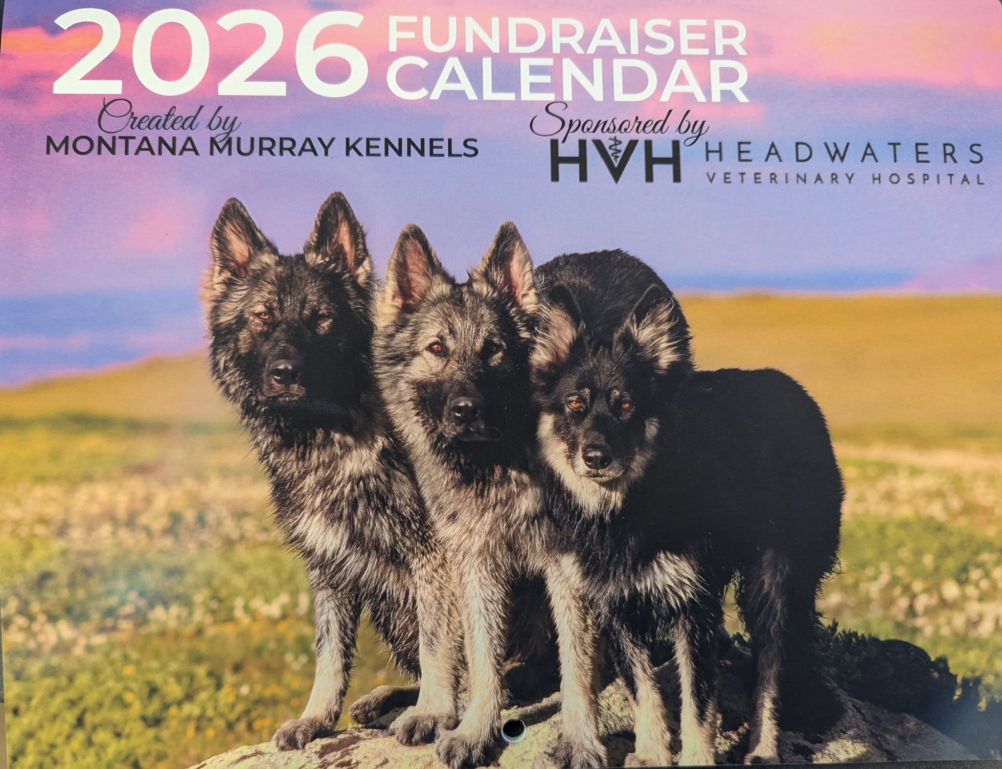 Montana Murray Kennels Belgrade