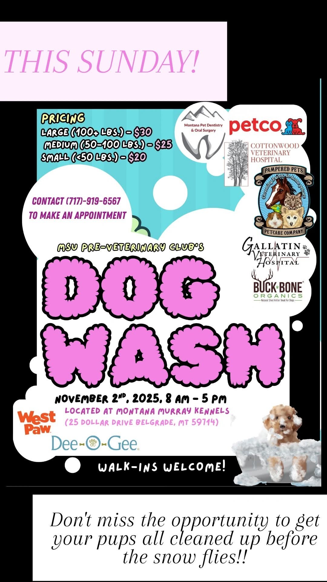 Montana Murray Kennels Belgrade