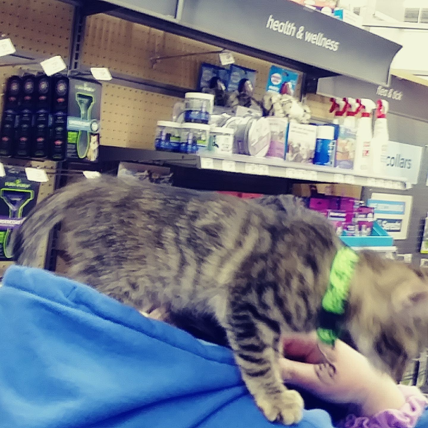 PetSmart Billings