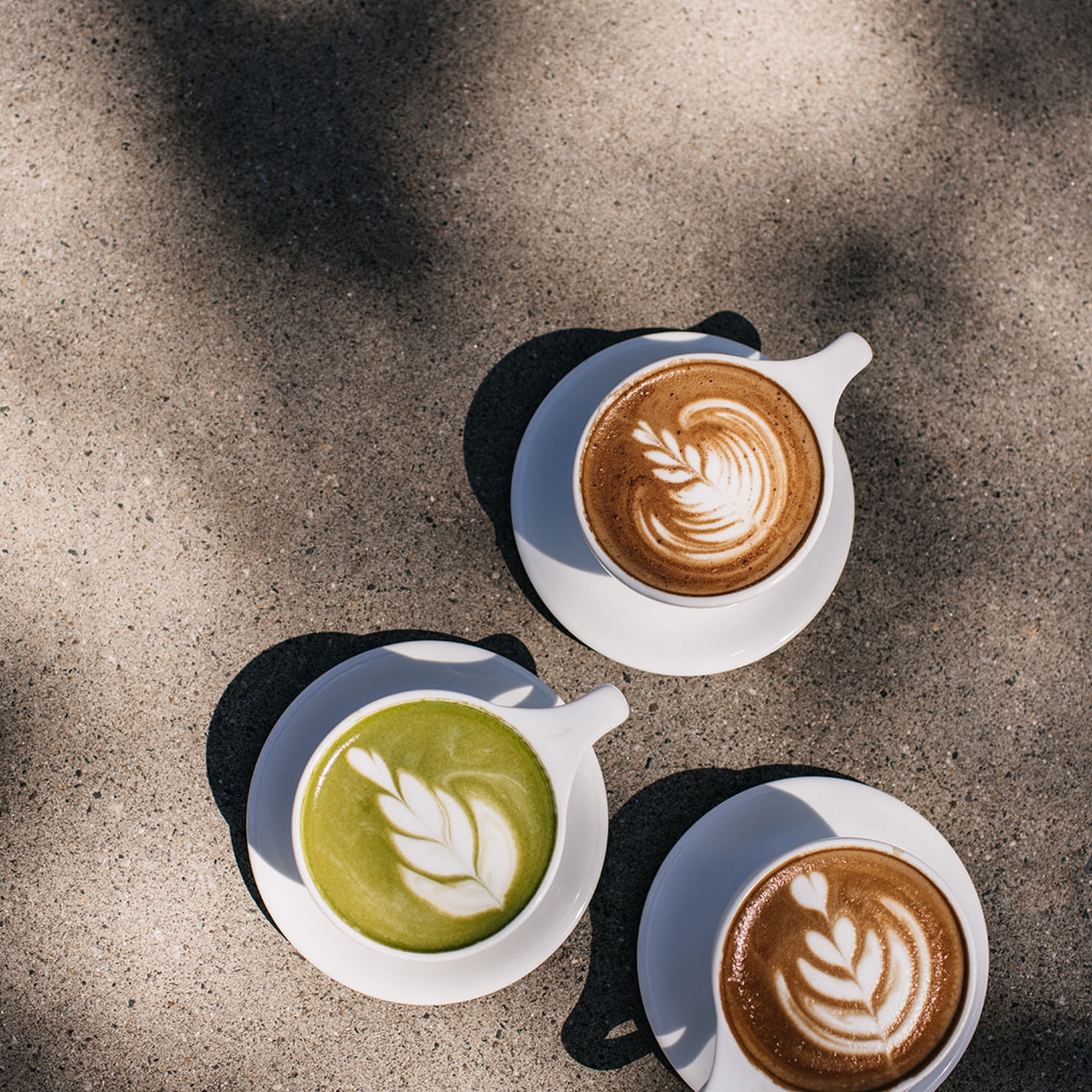 Black Dog Coffee House x 10th Ave Billings