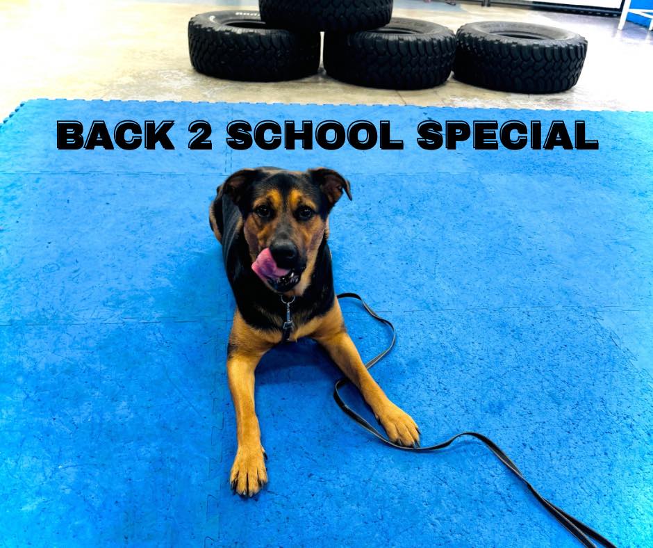 The Dog House Billings