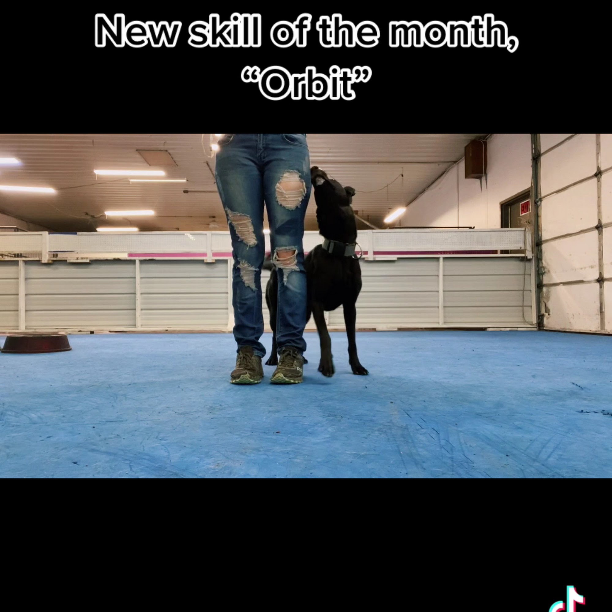 The Dog House Billings