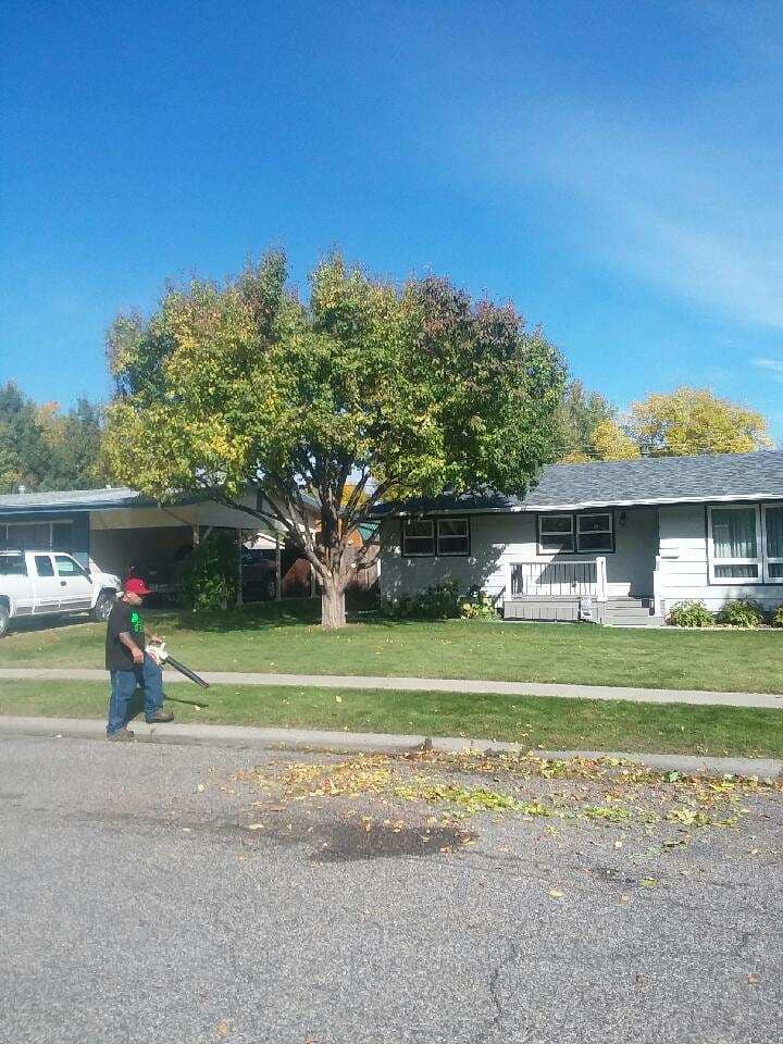 Mr snow it all and tree service