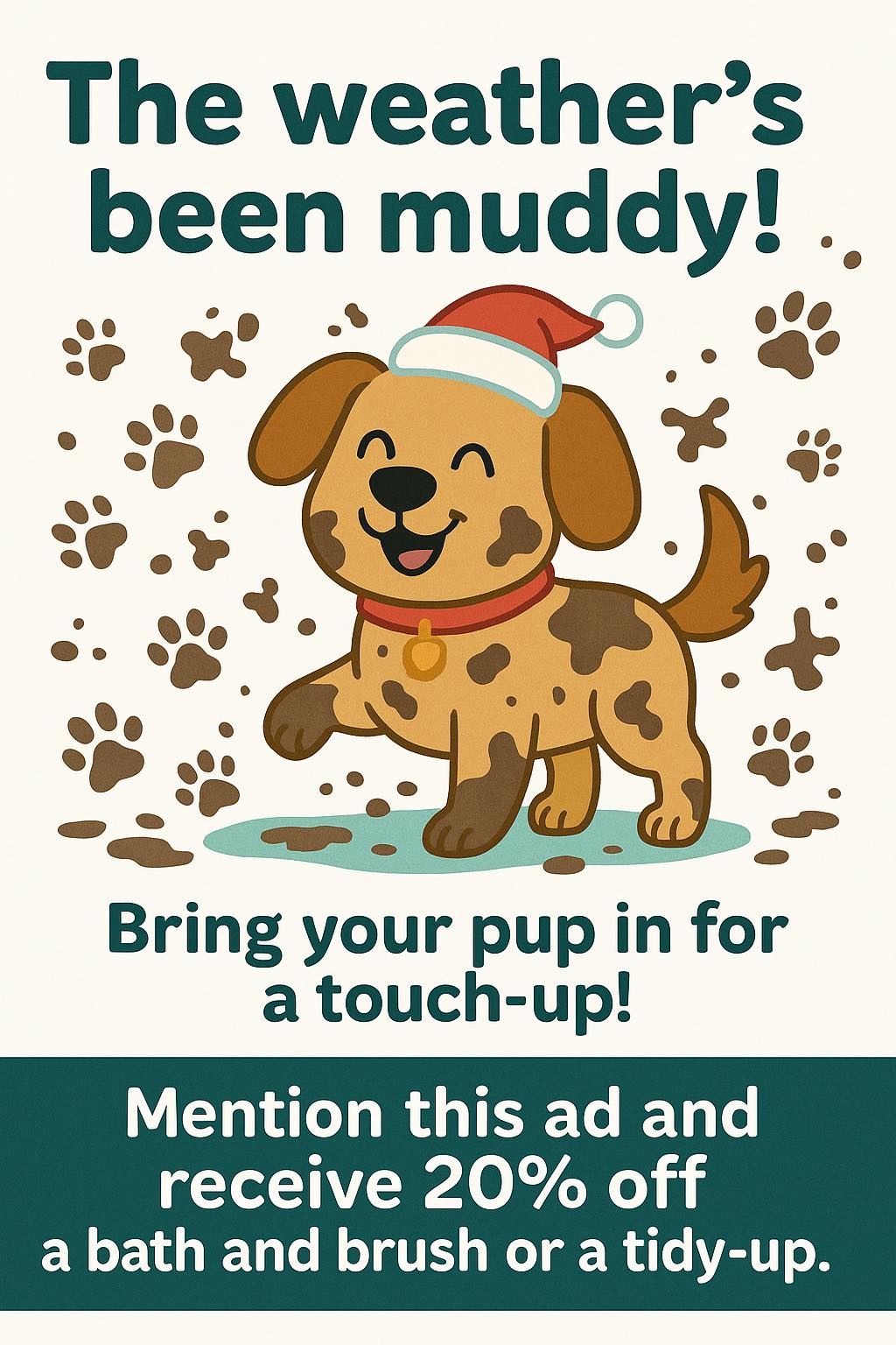 Paws & Reflect Pet Salon Billings