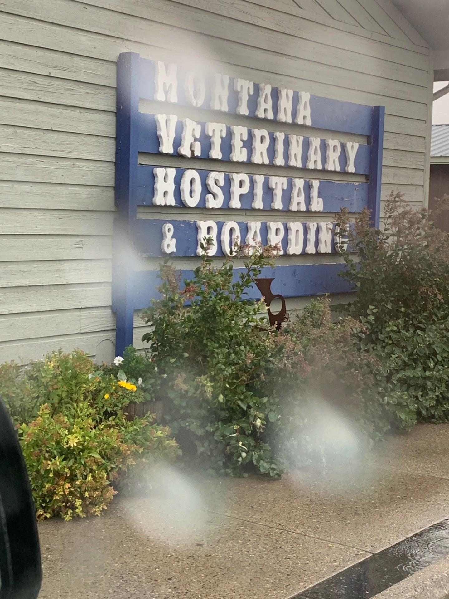 Montana Veterinary Hospital & Boarding Bozeman
