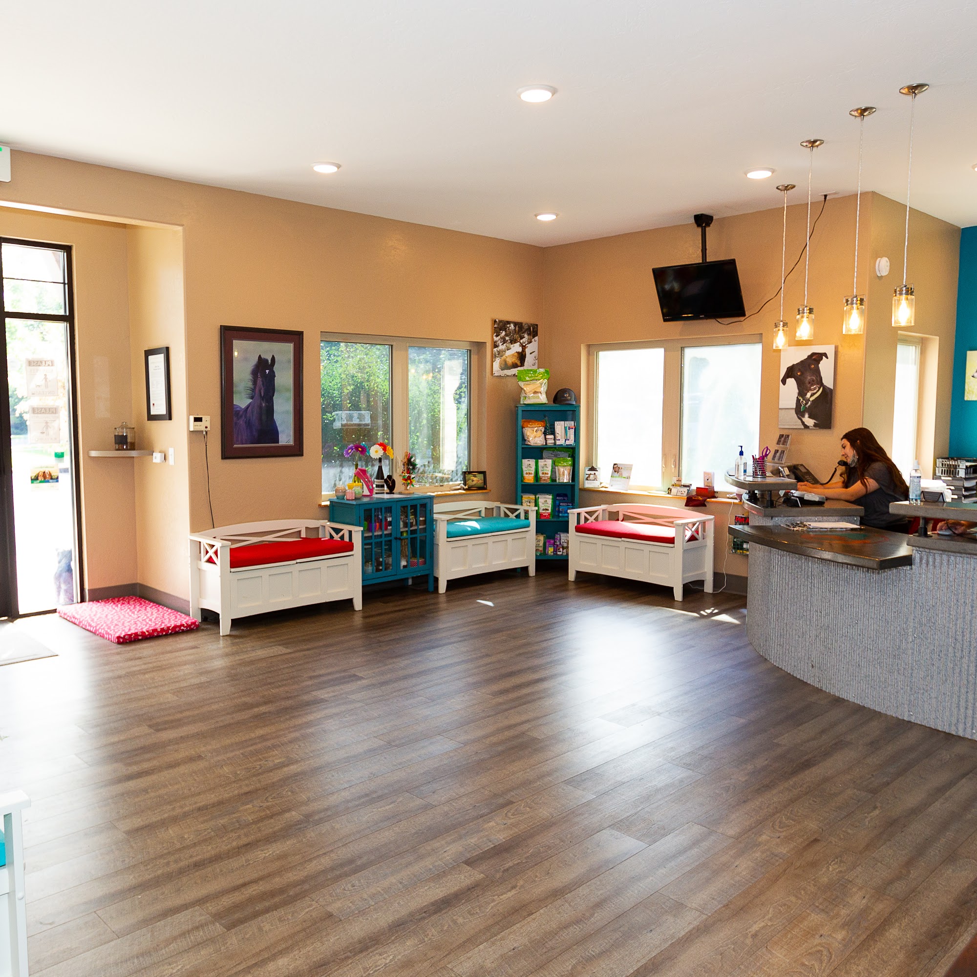 Black Dog Veterinary Services Bozeman