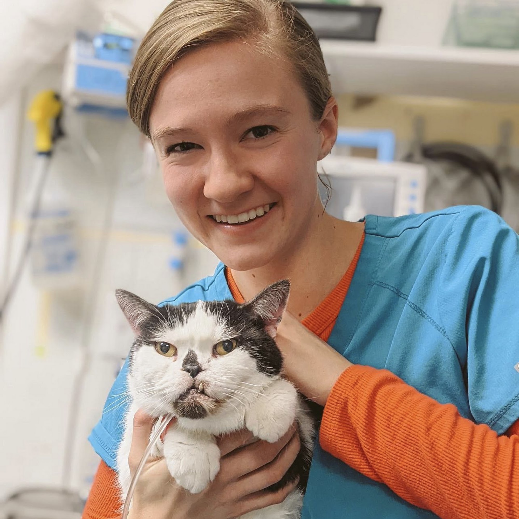 Bozeman Pet Hospital & Urgent Care Bozeman