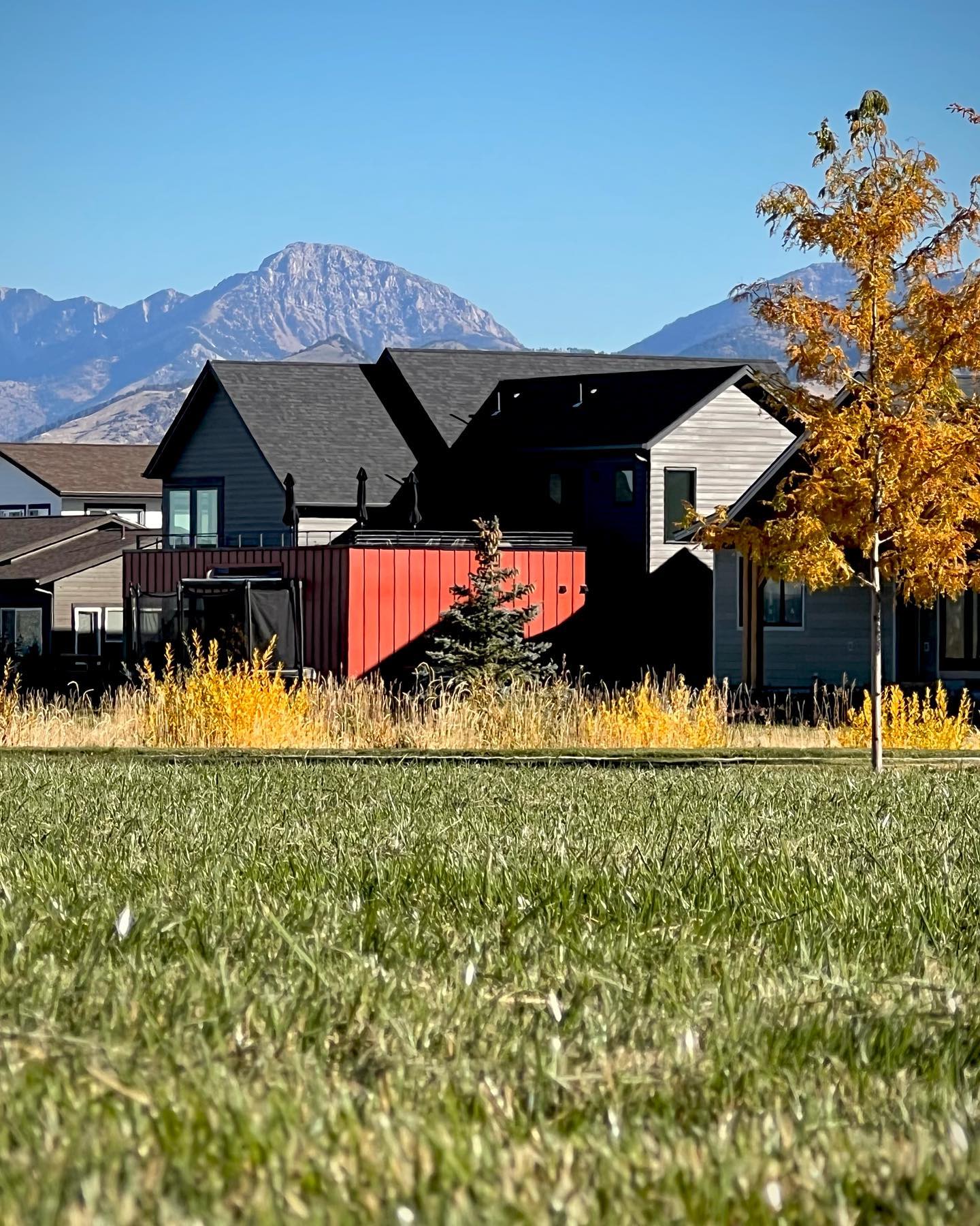 Ploughshare Design | Build