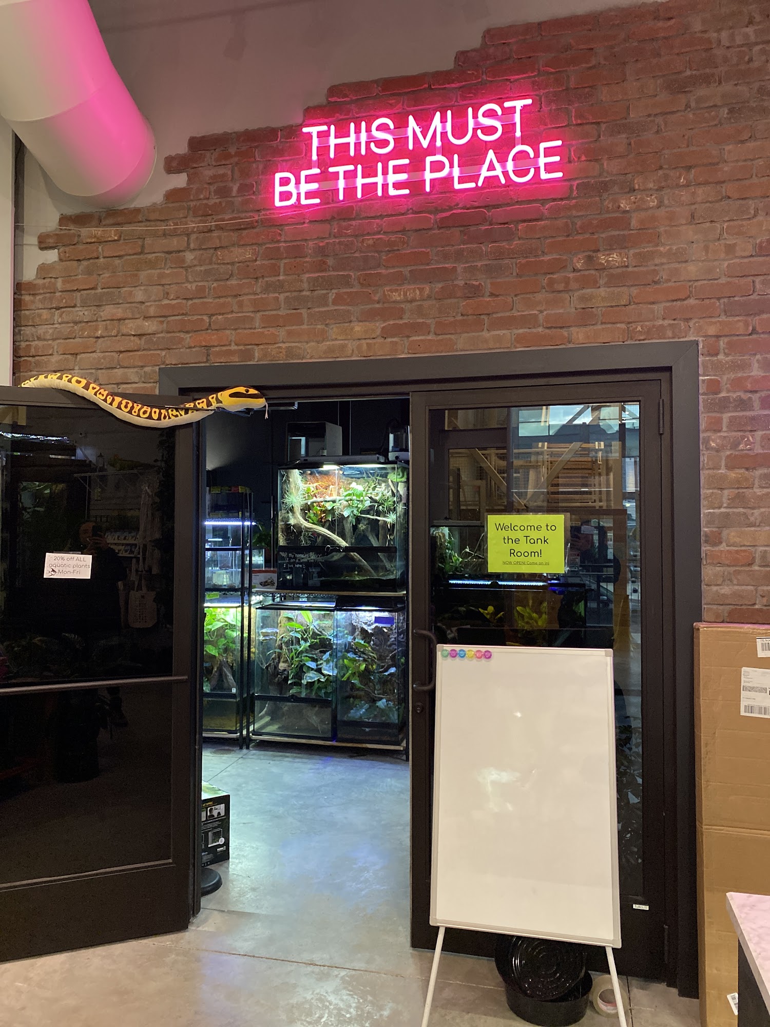 The Viv Bioactive Bozeman