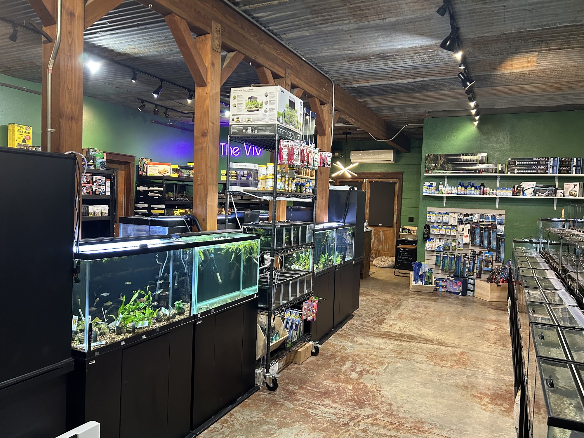 The Viv Bioactive Bozeman