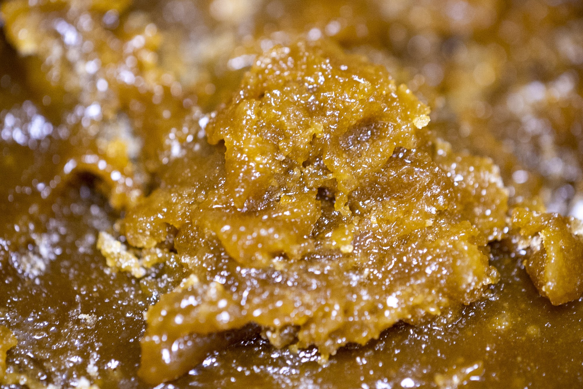 Natural Wellness Butte