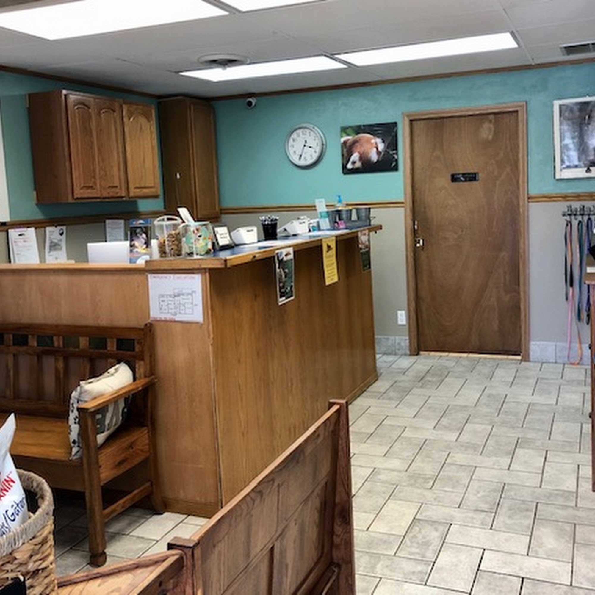 Butte Veterinary Center Butte