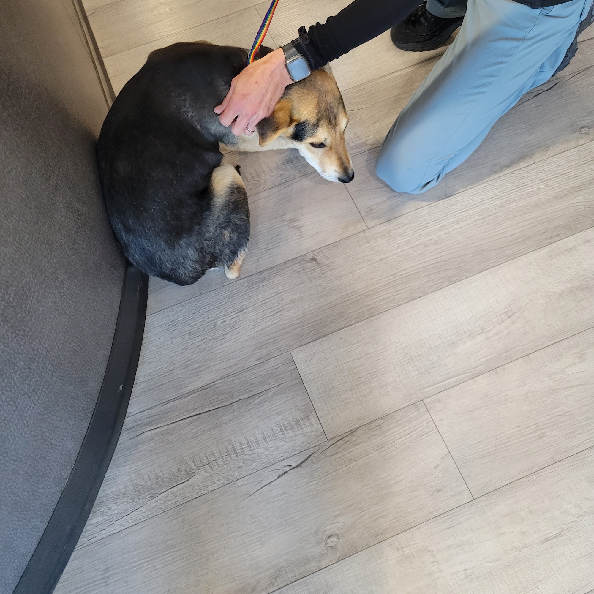 Glacier Animal Hospital Columbia Falls