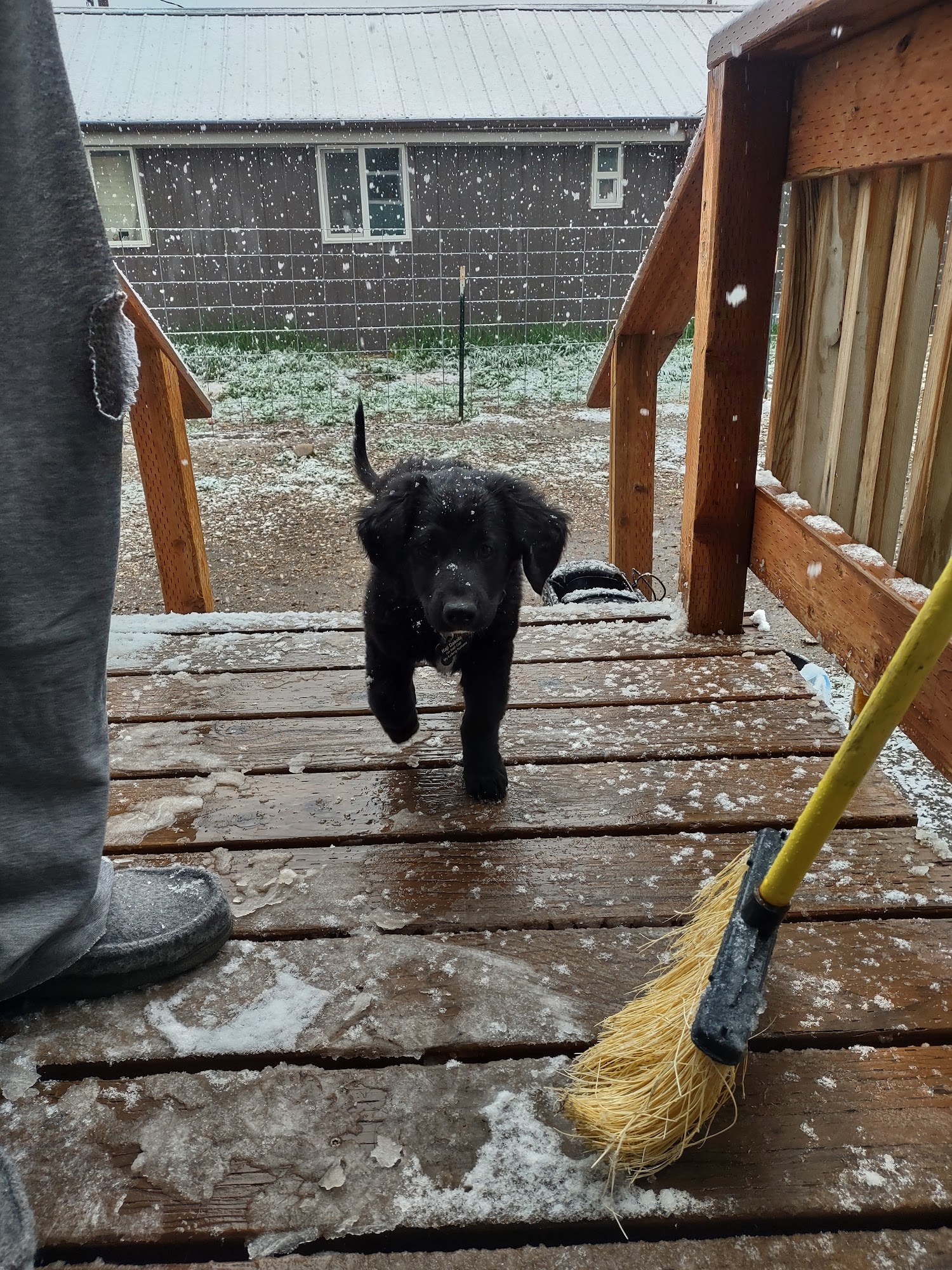 Dillon Small Animal Hospital Dillon