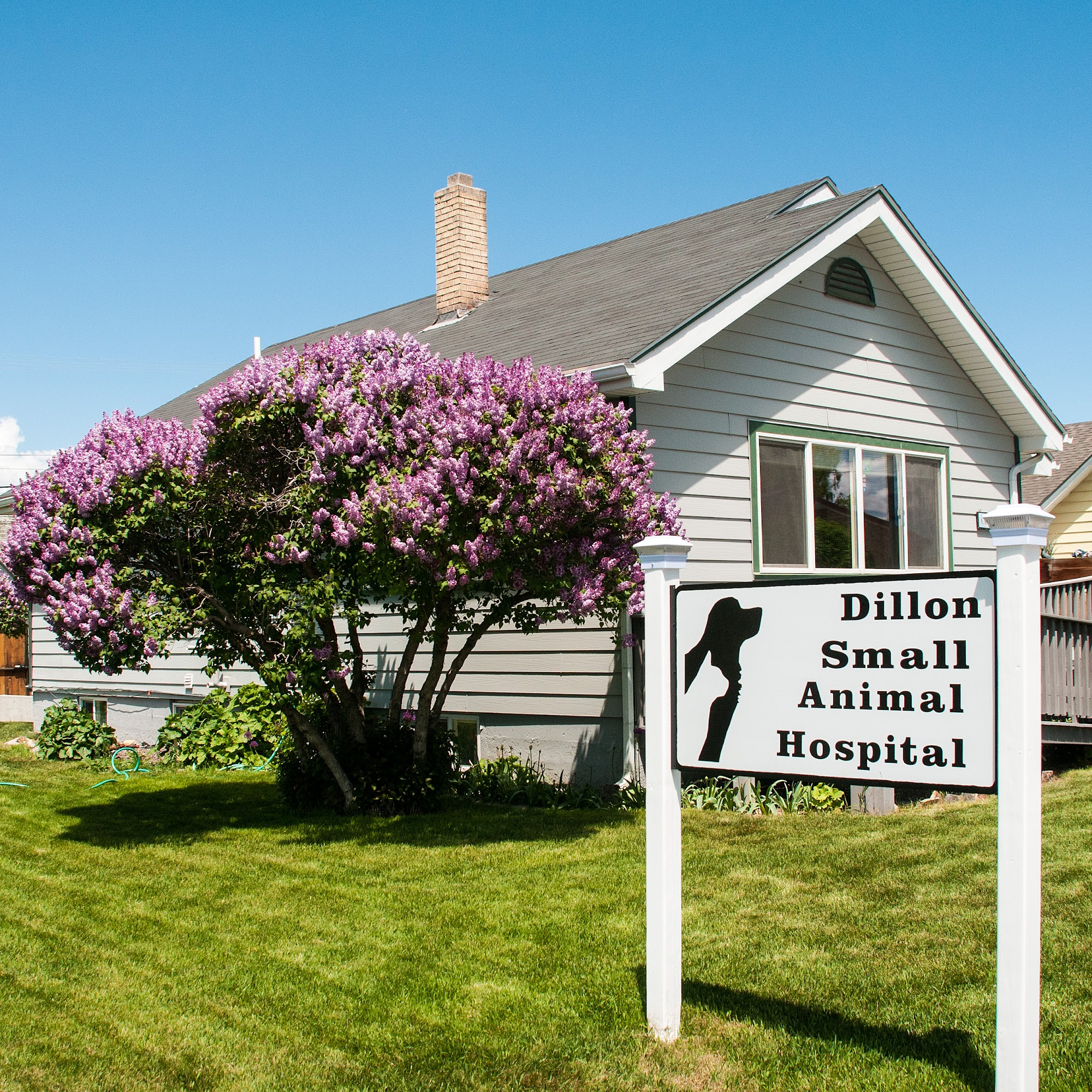Dillon Small Animal Hospital Dillon