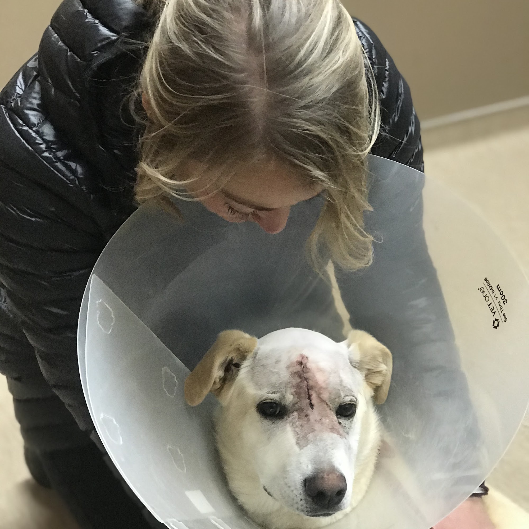 Big Sky Animal Medical Center Great Falls