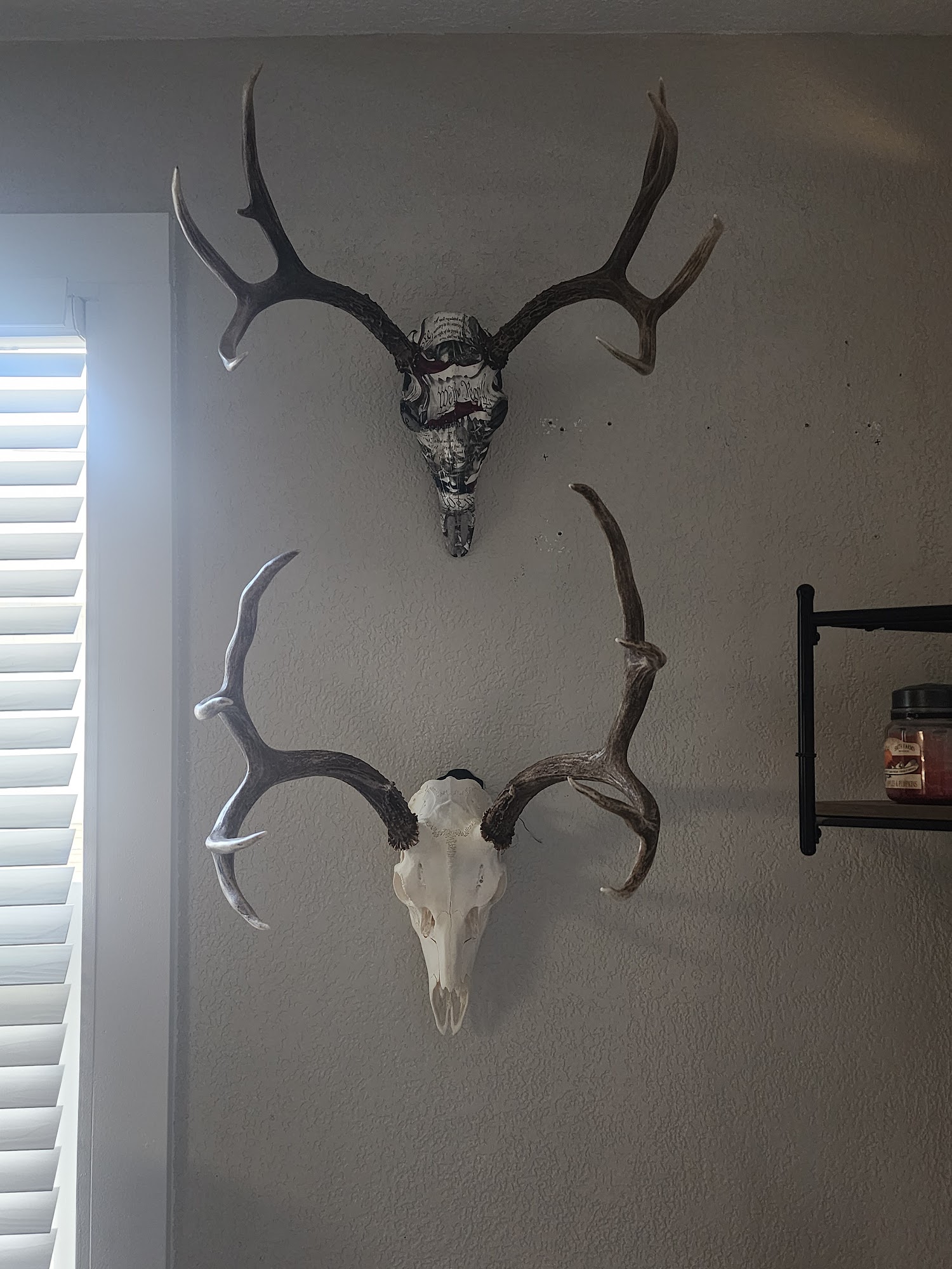 406 Processing & Taxidermy