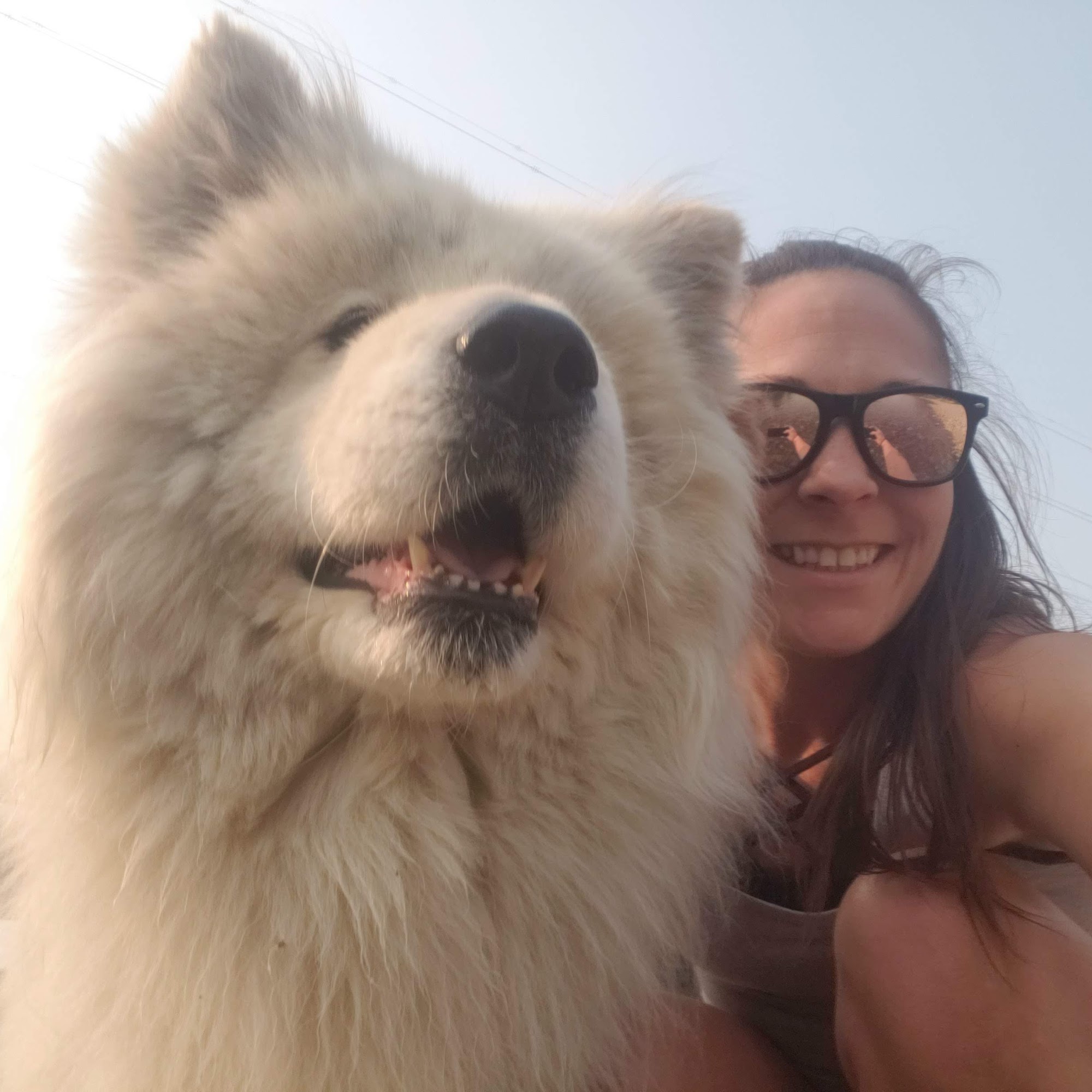 Bitter Root Vet Clinic PC Hamilton