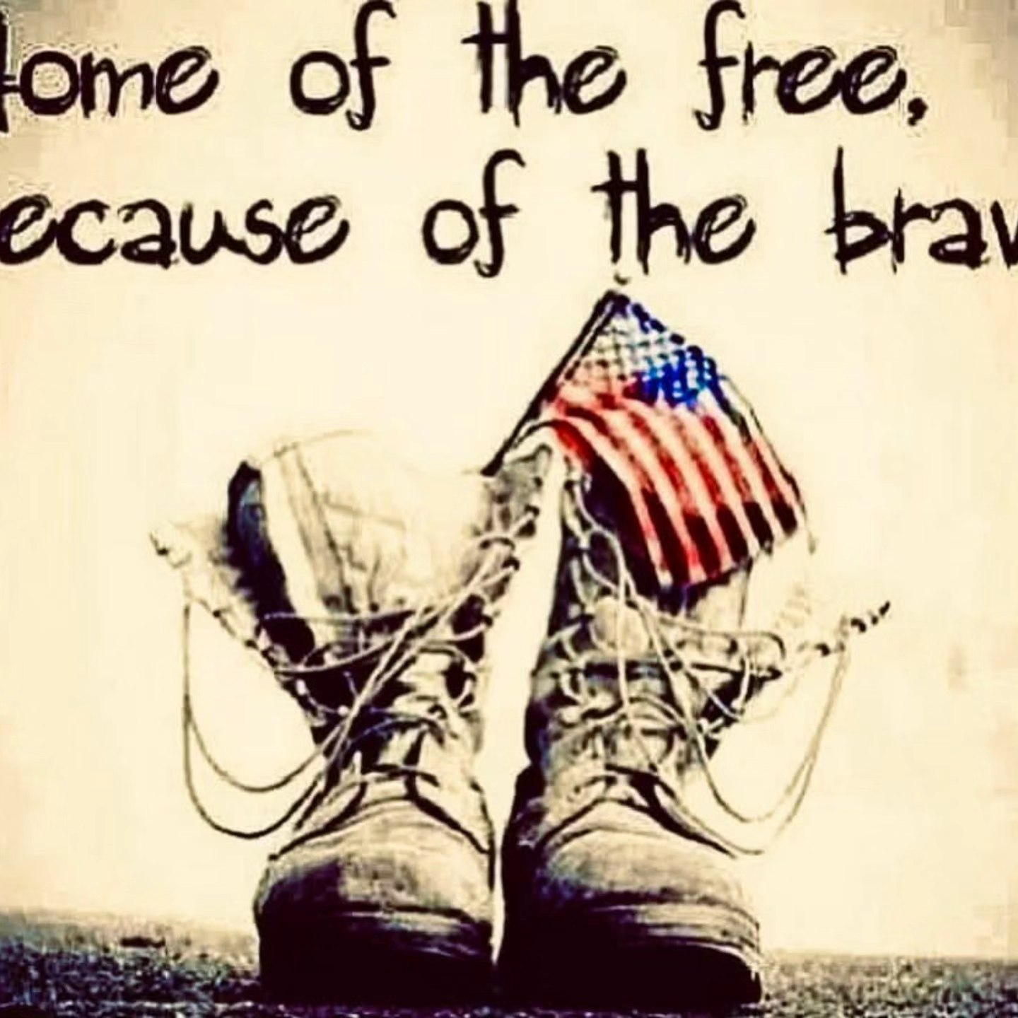 Shed Horn Cellars 406 Hamilton