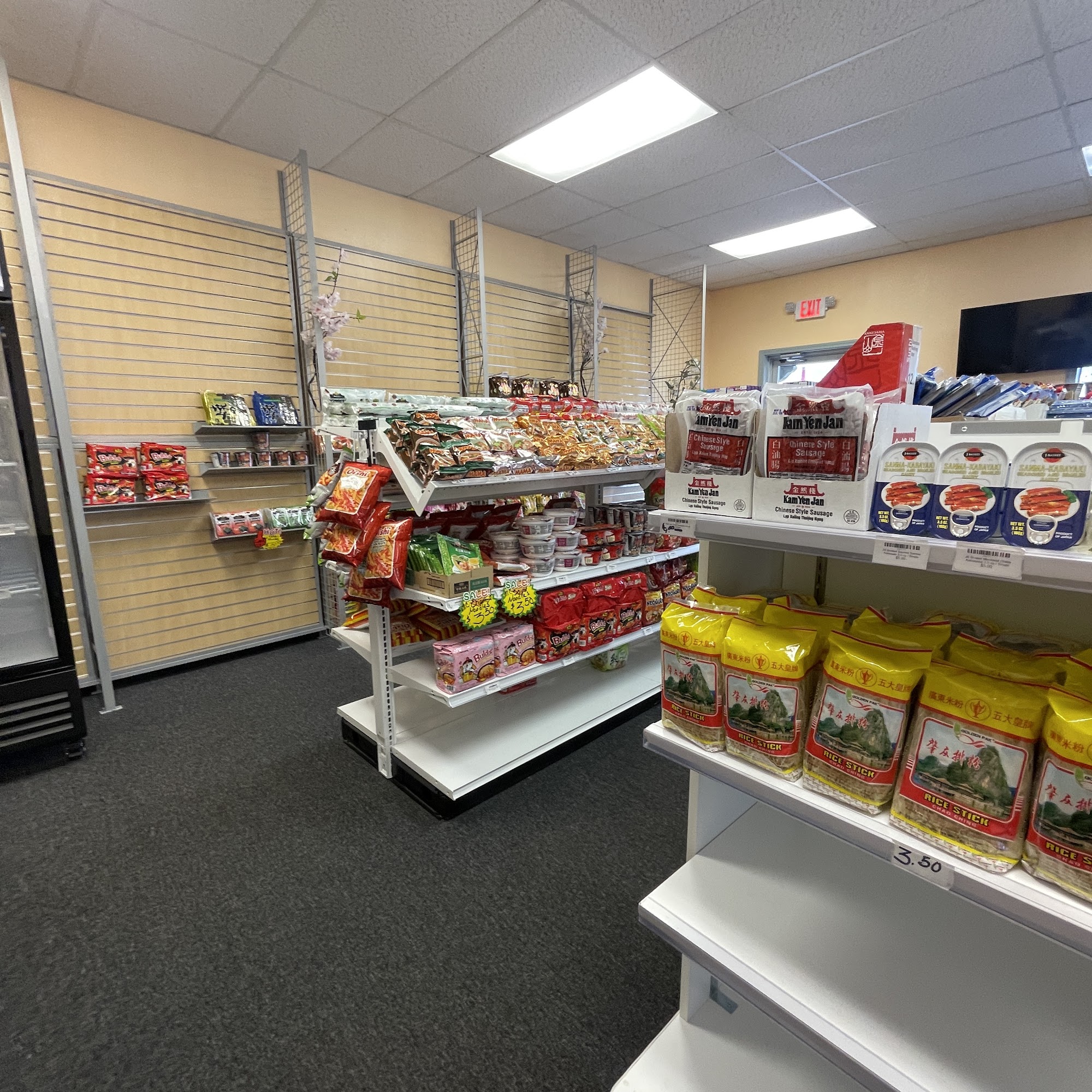 Paddy Elephant Hamilton